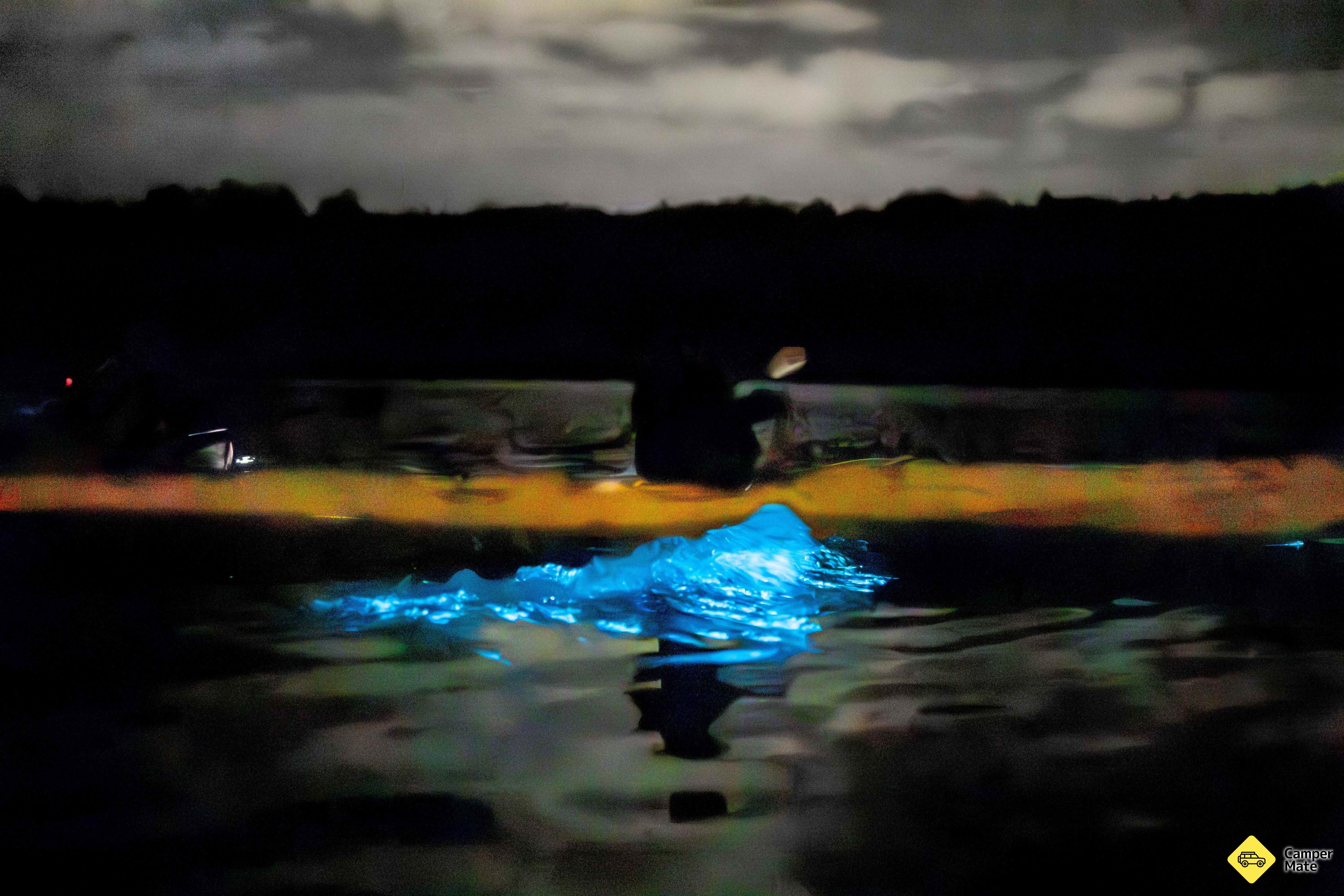 Auckland Bioluminescence Kayak Tour