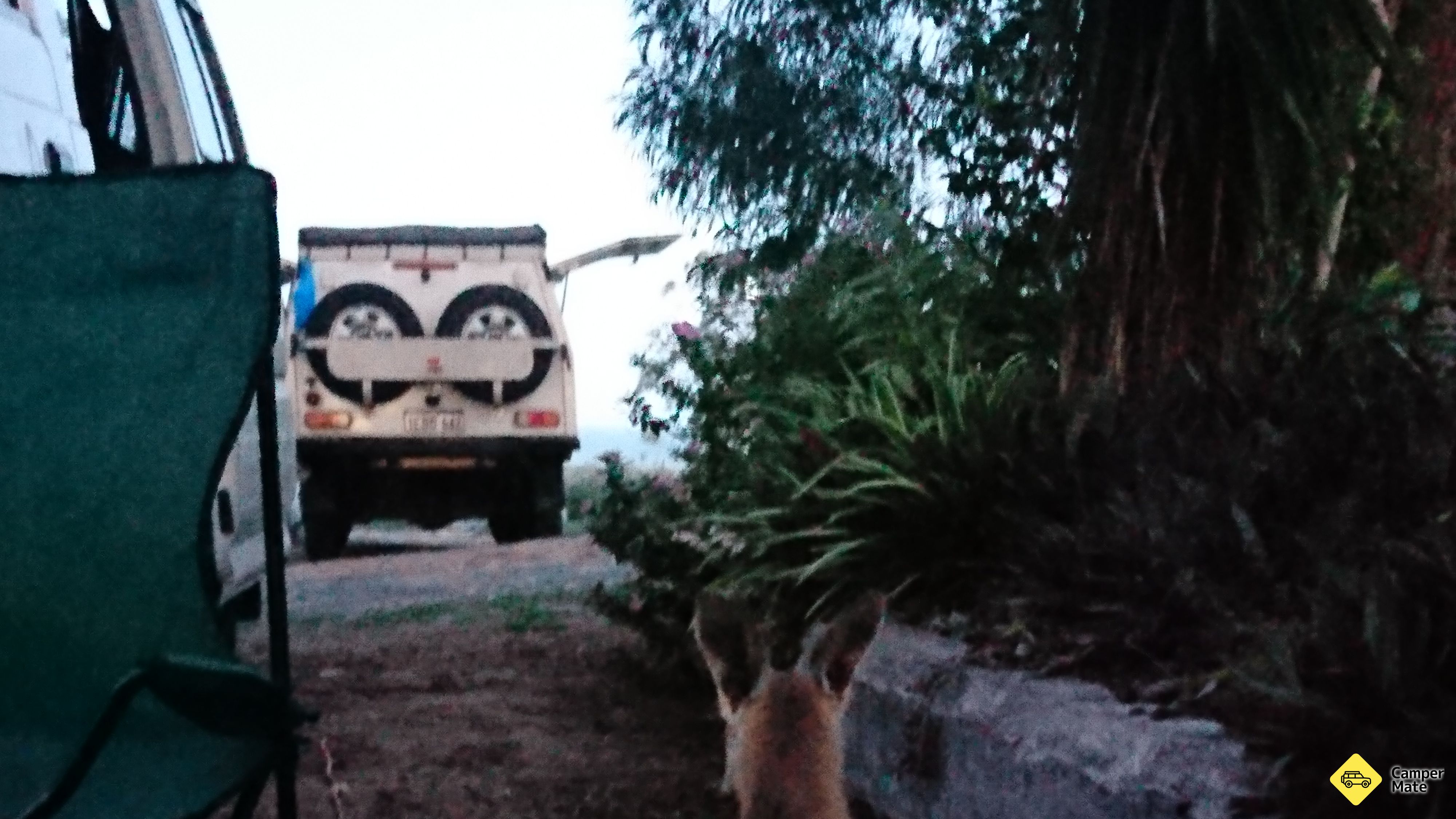 Activiteiten in de omgeving van Horizons Kangaroo Sanctuary