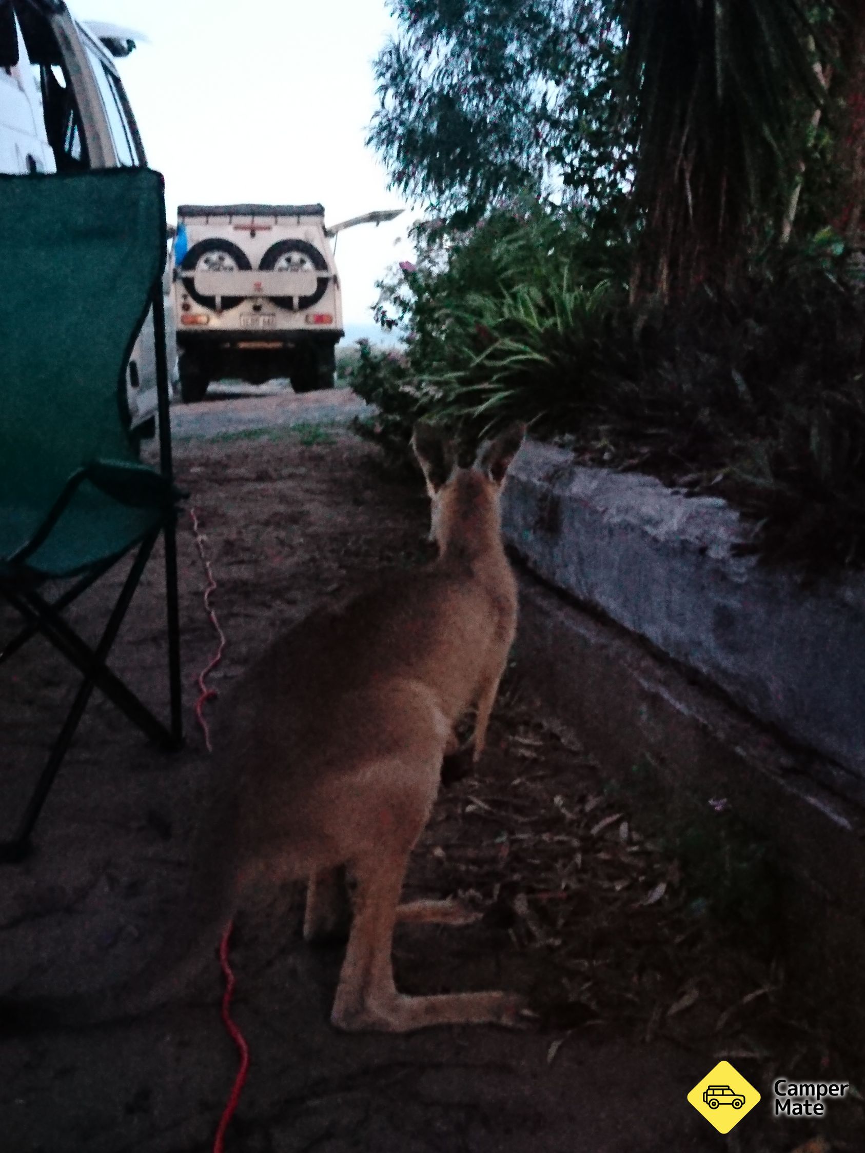 Histoire du Kangaroo Sanctuary