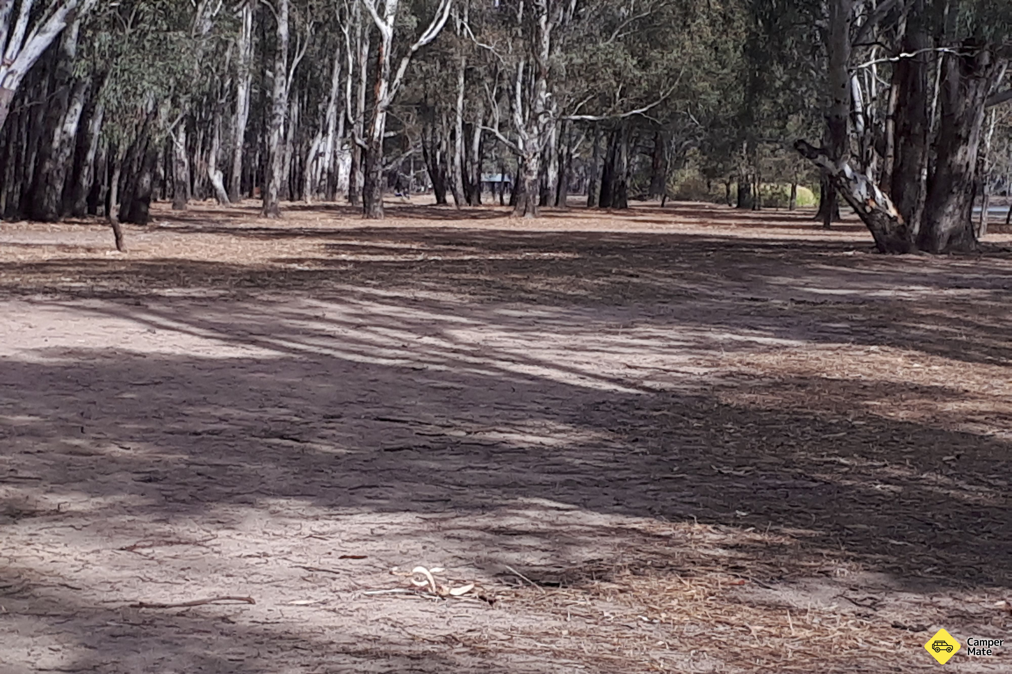 Barmah Lakes Campground 부근의 호텔 - Image 2