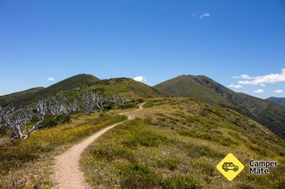Mt Feathertop and the Razorback Walk