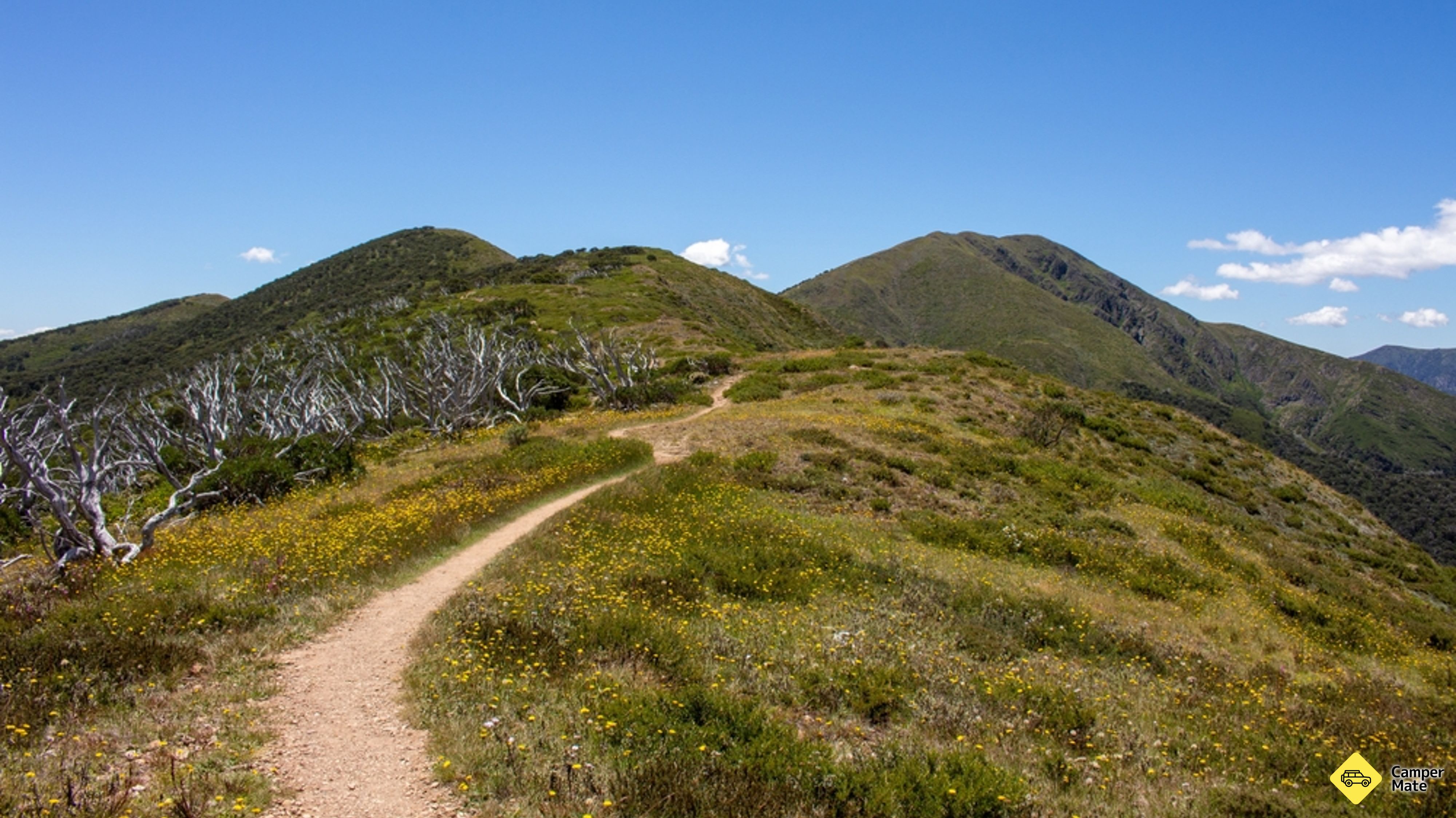 Mt Feathertop and the Razorback Walk
