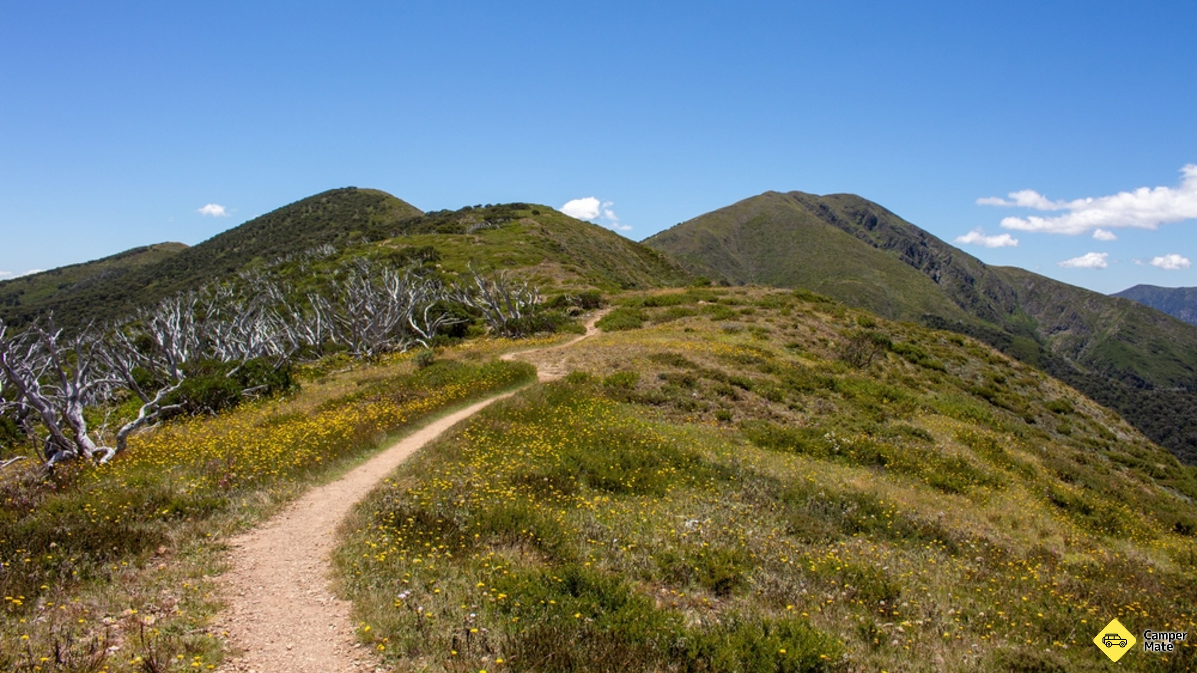 Mt Feathertop and the Razorback Walk