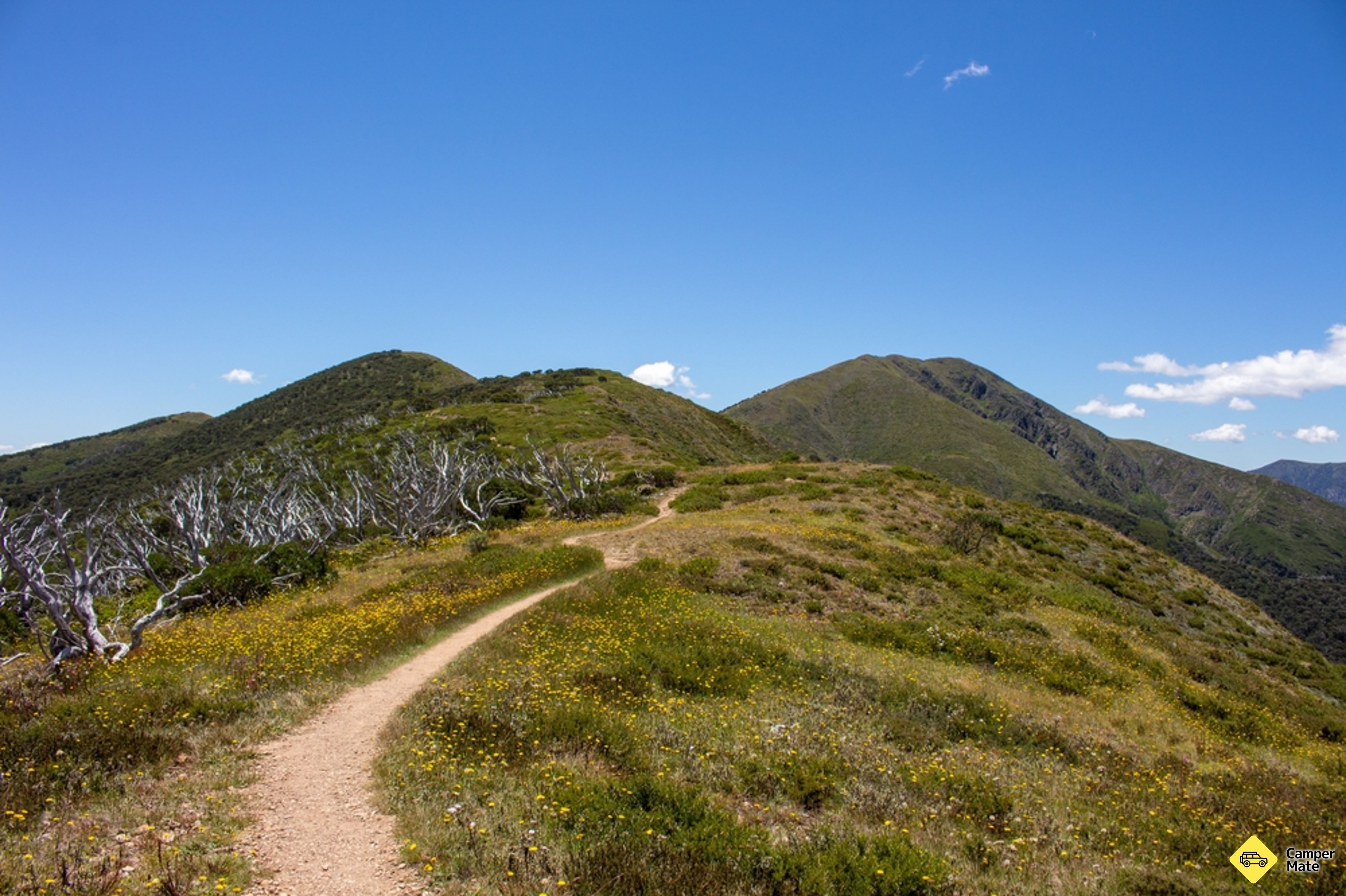 Mt Feathertop and the Razorback Walk