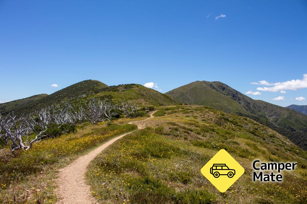Mt Feathertop and the Razorback Walk