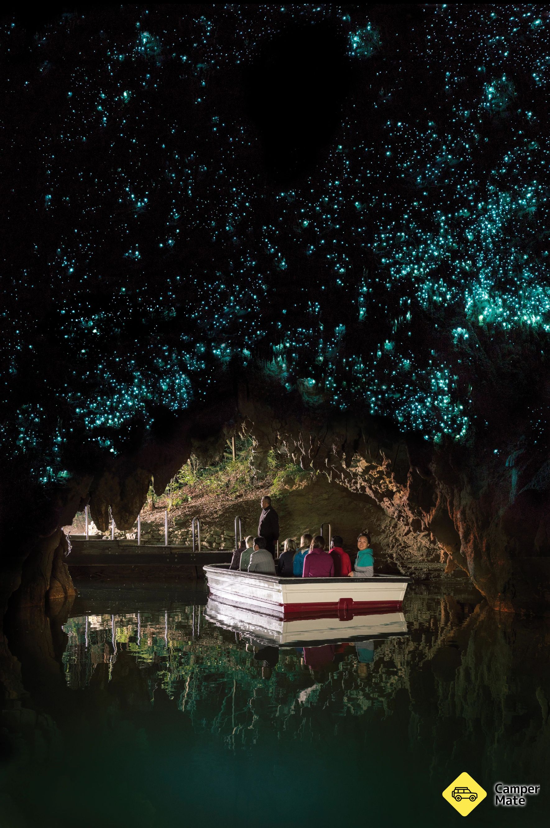 Waitomo Glowworm Caves - Image 2