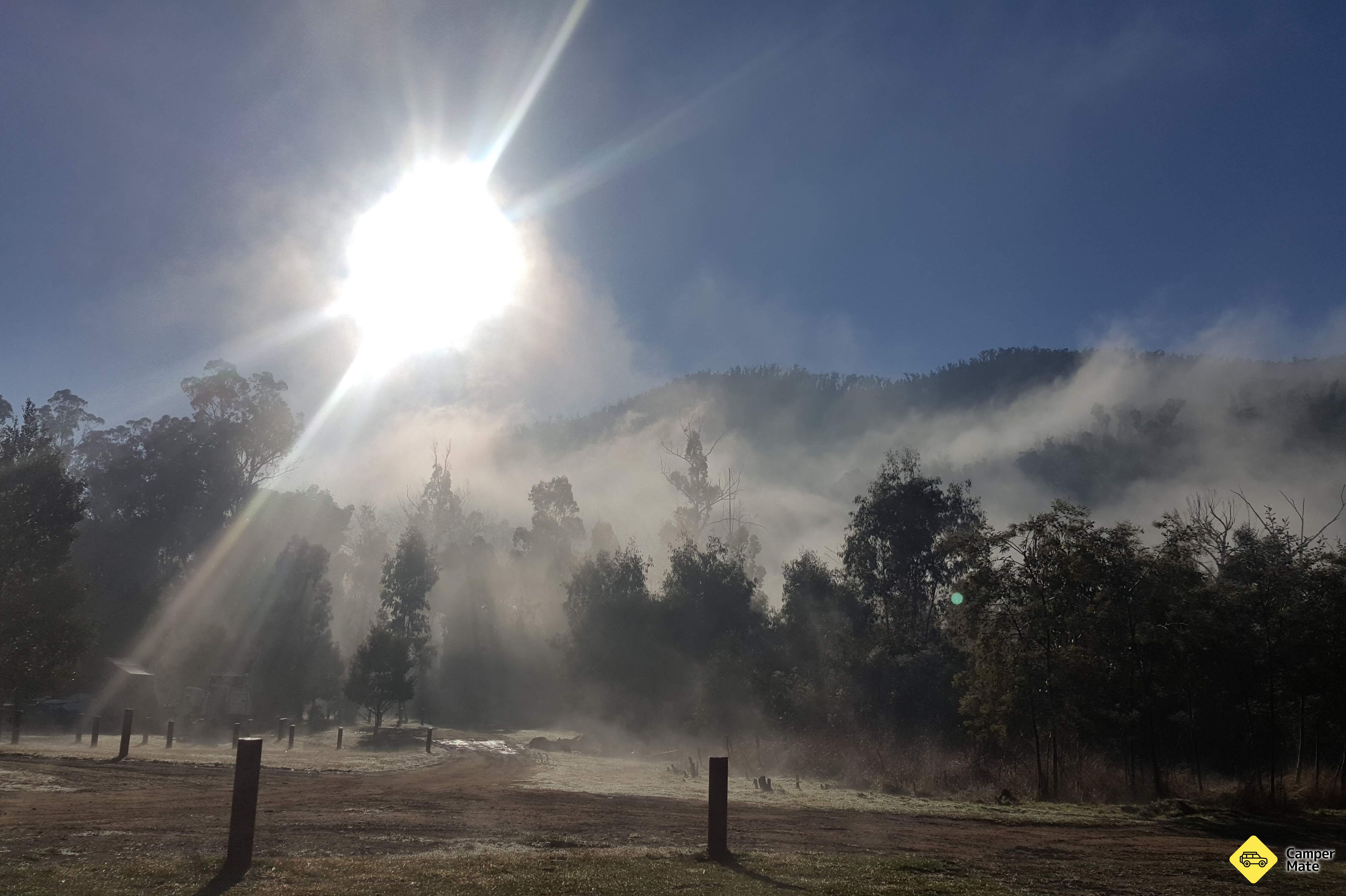 Merringtons Flat - Thomson State Forest - Image 2