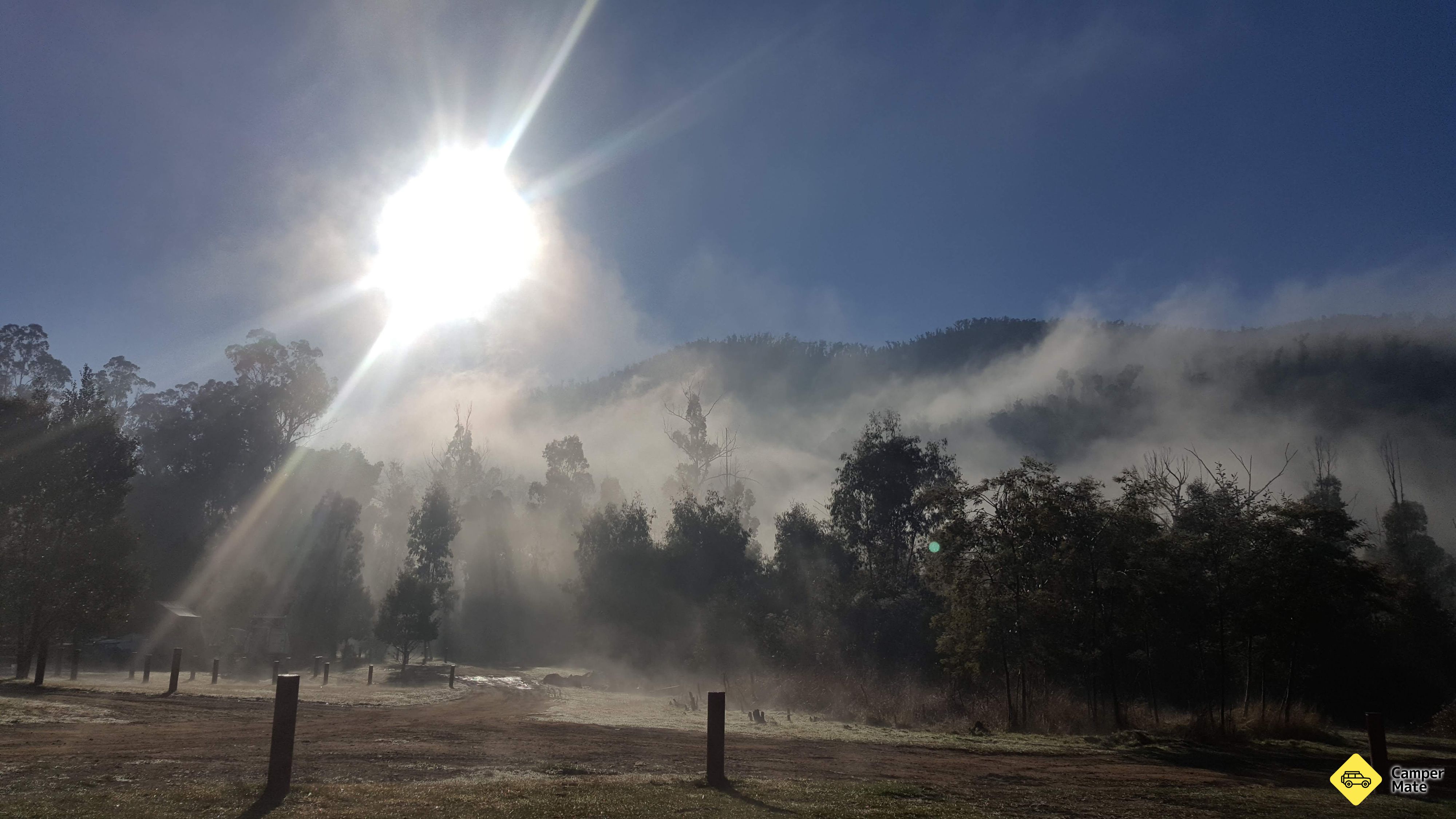 Merringtons Flat - Thomson State Forest - Image 2