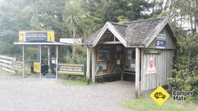 Puketi Recreation Area Campsite