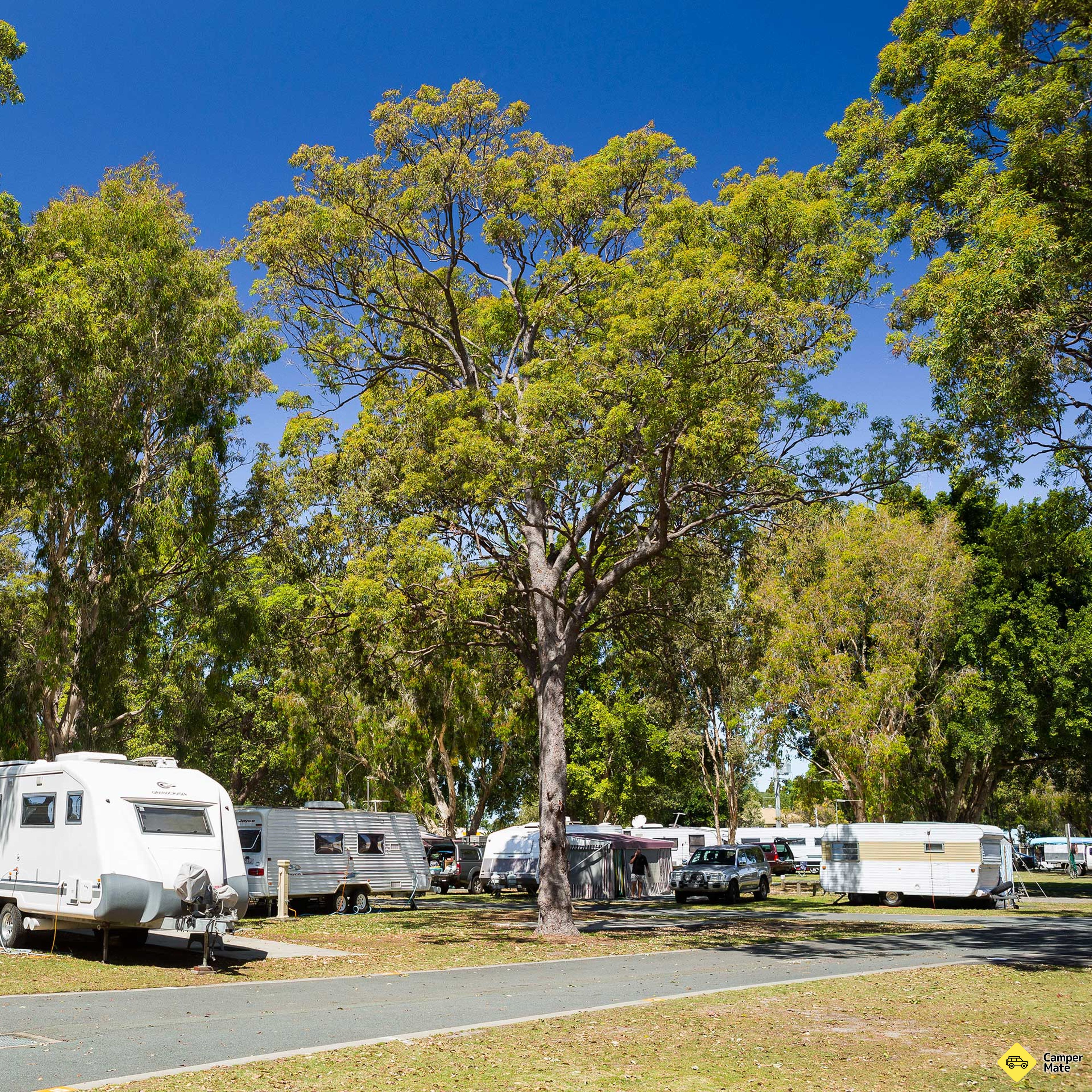 Jacobs Well Tourist Park - Image 2