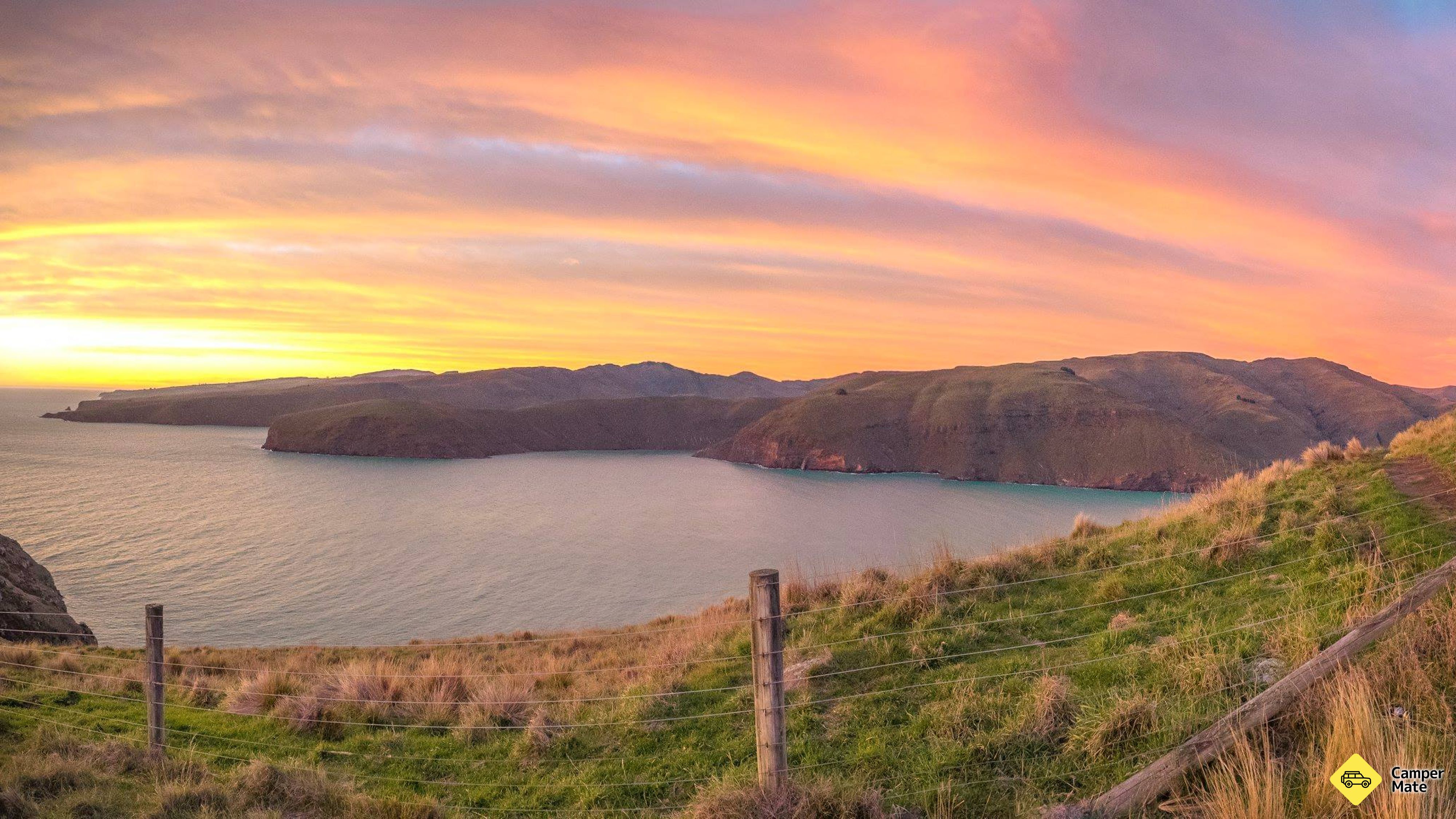 Круизы Akaroa Nature & Wildlife