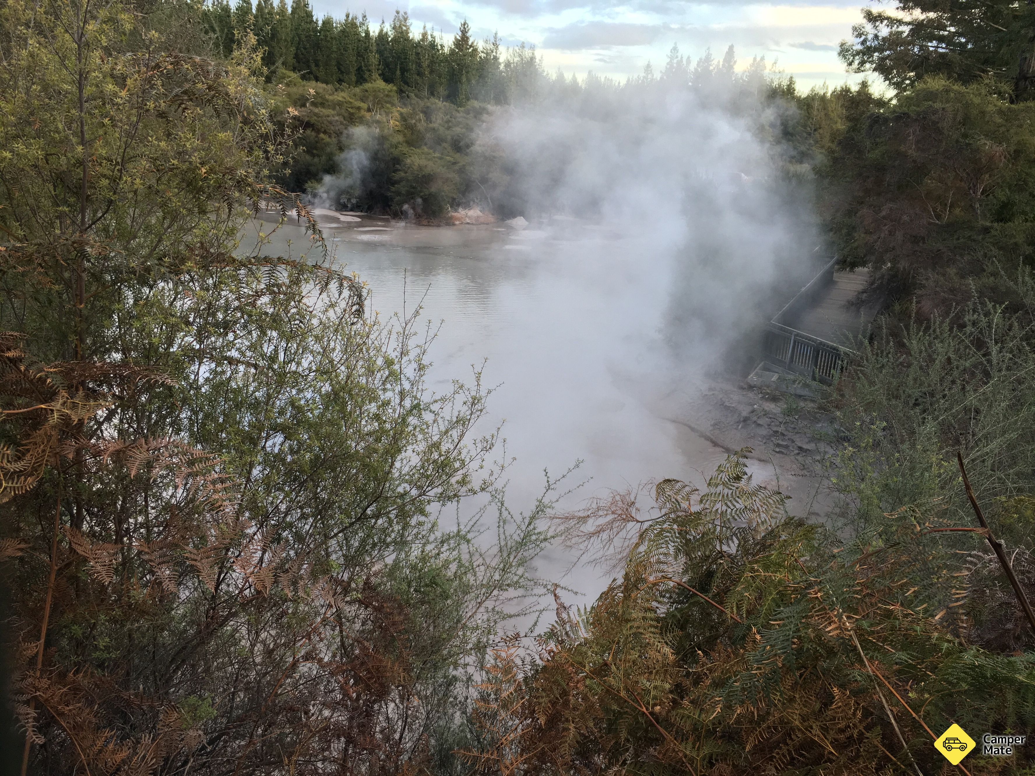 Waiotapu Mud Pool - Image 2
