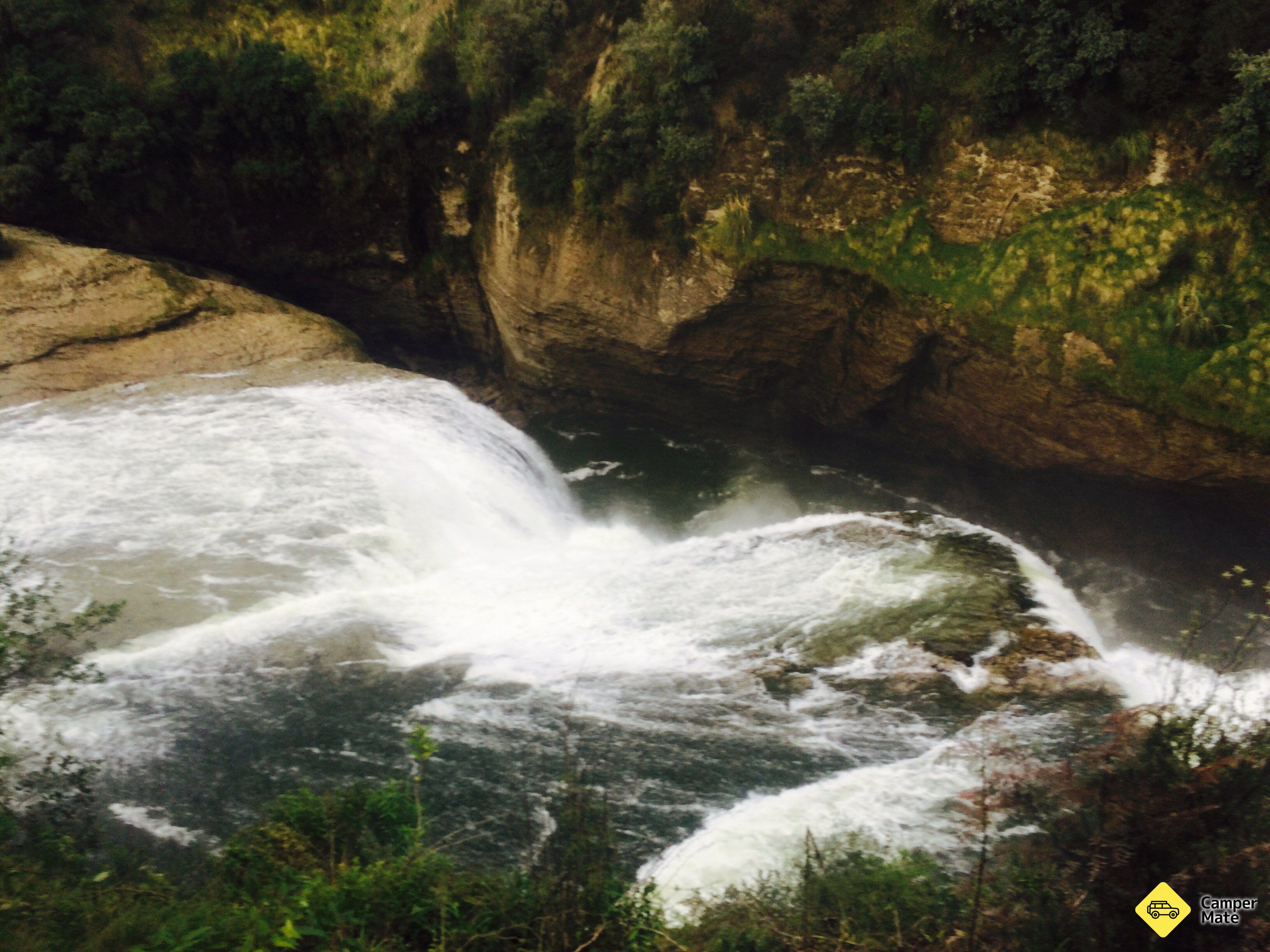 Reina faller - Image 2
