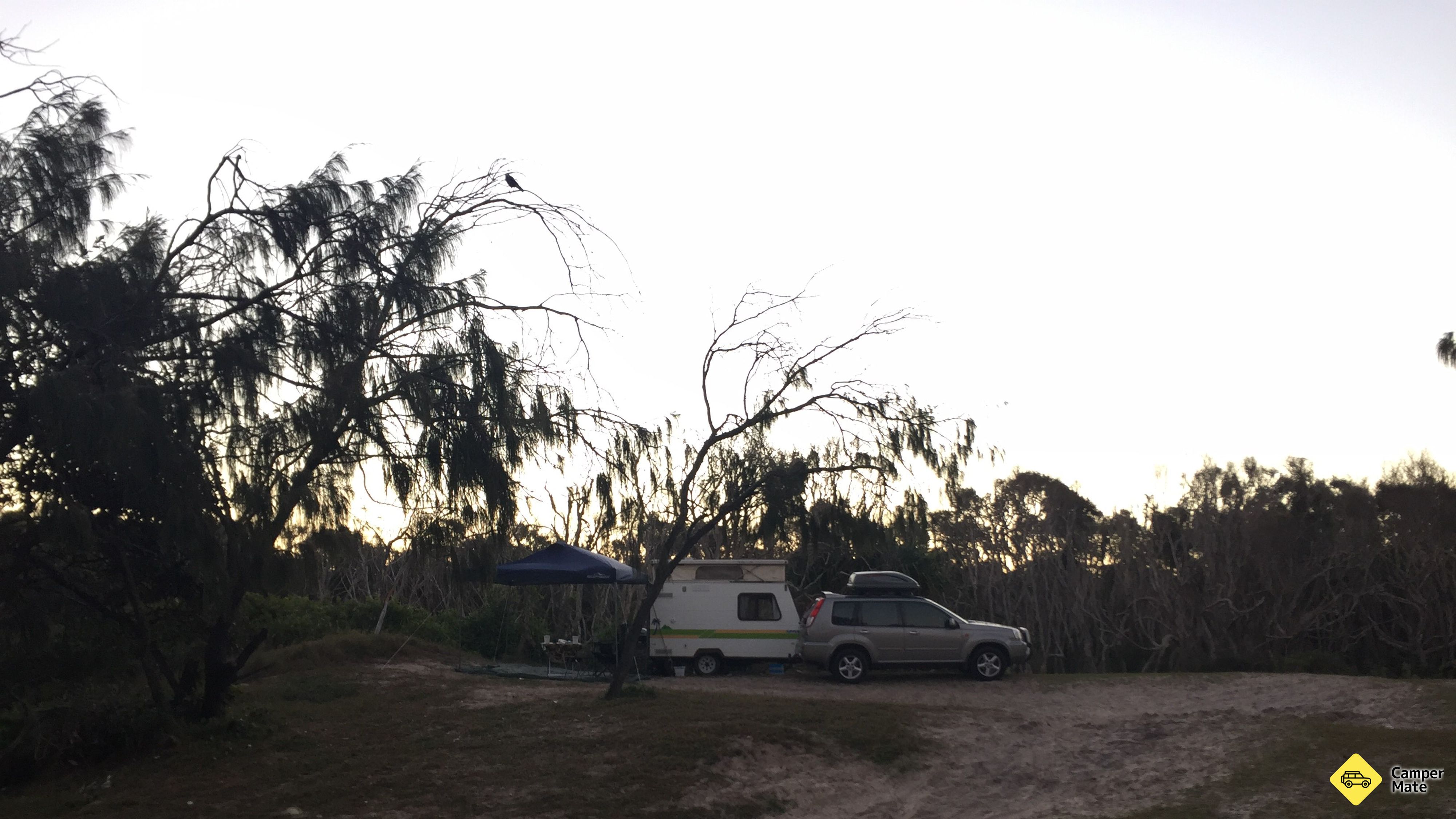 Noosa North Shore Beach Campground(ノーサ・ノース・ショア・ビーチ・キャンプ場)