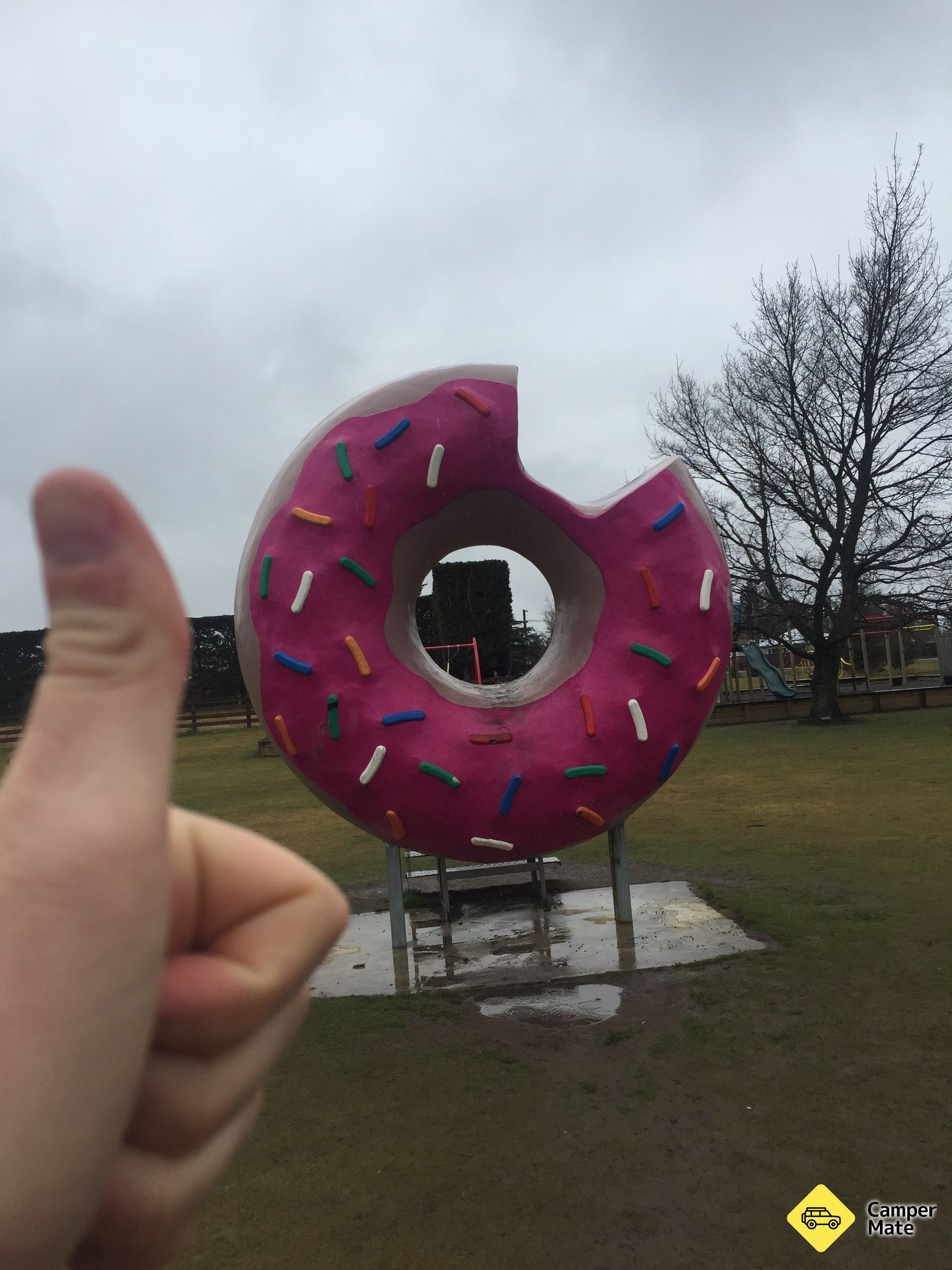 Giant Donut, Springfield - Image 2