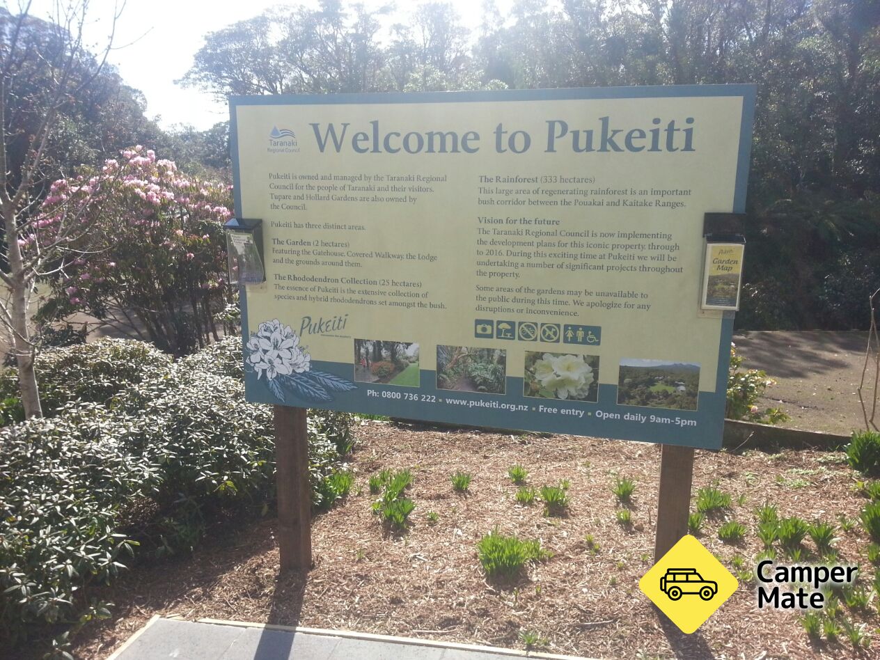 Pukeiti Camp - Image 3