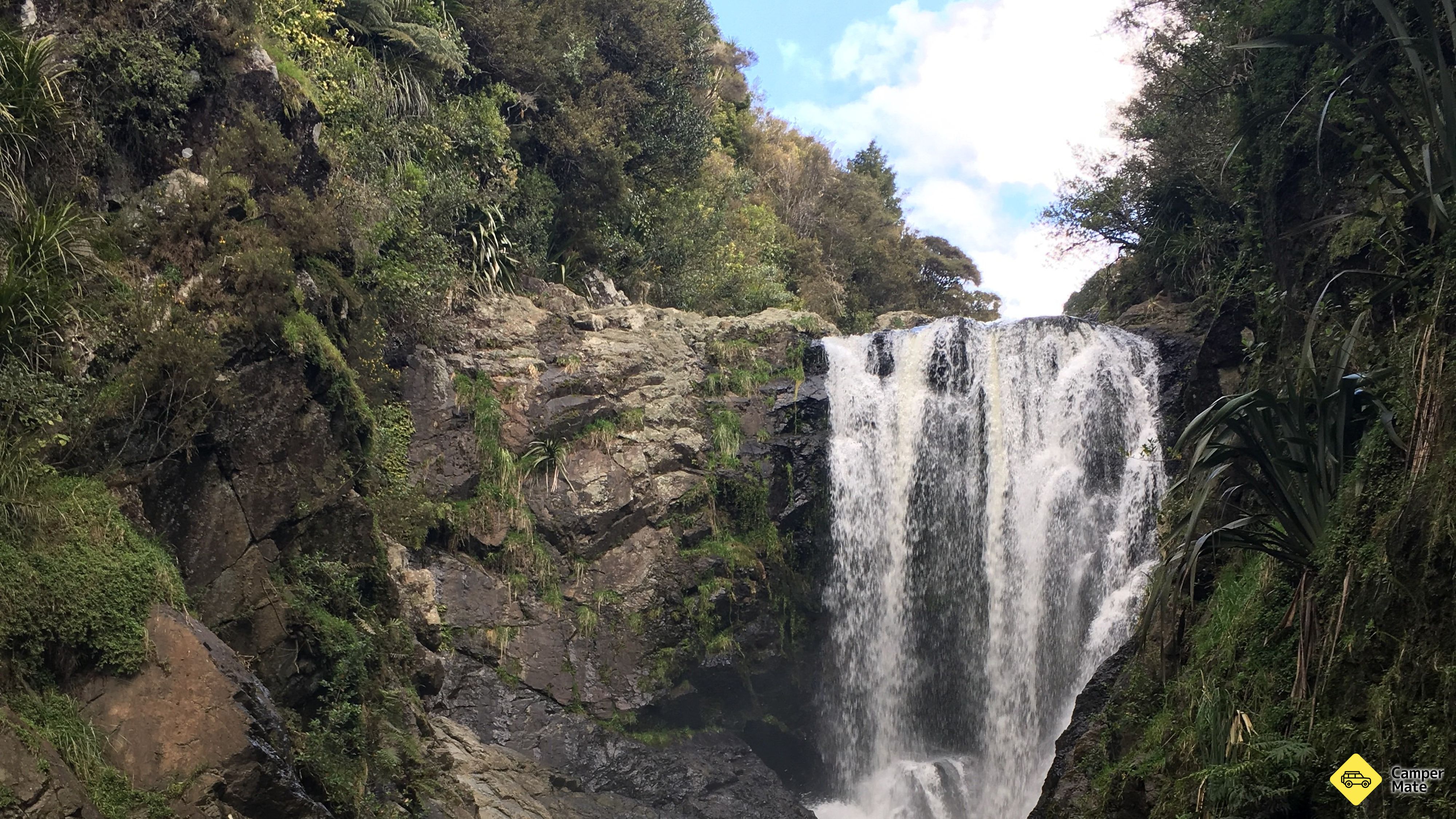 Rezerwat Waipu Gorge