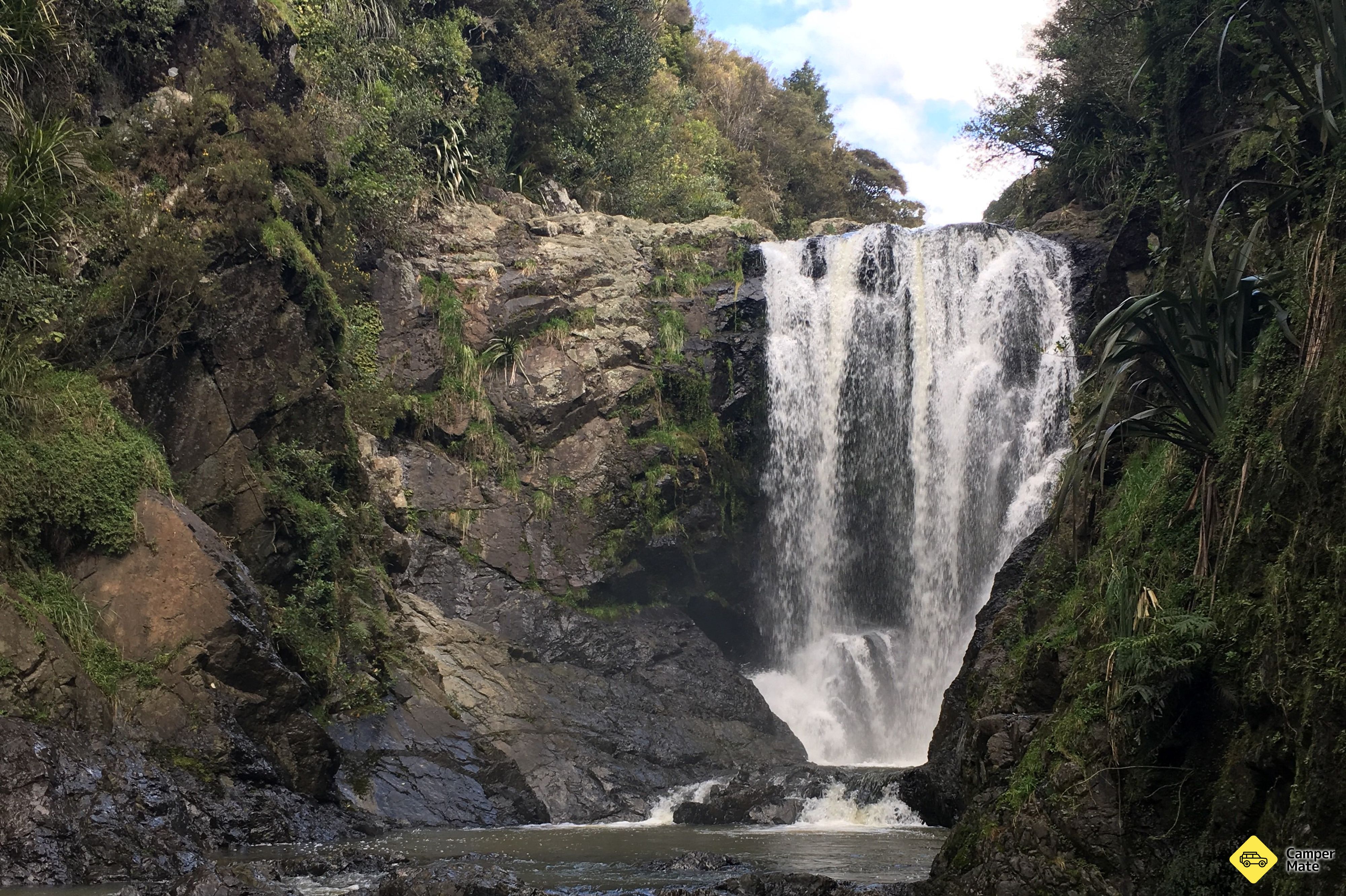 Waipu Gorge Reserve