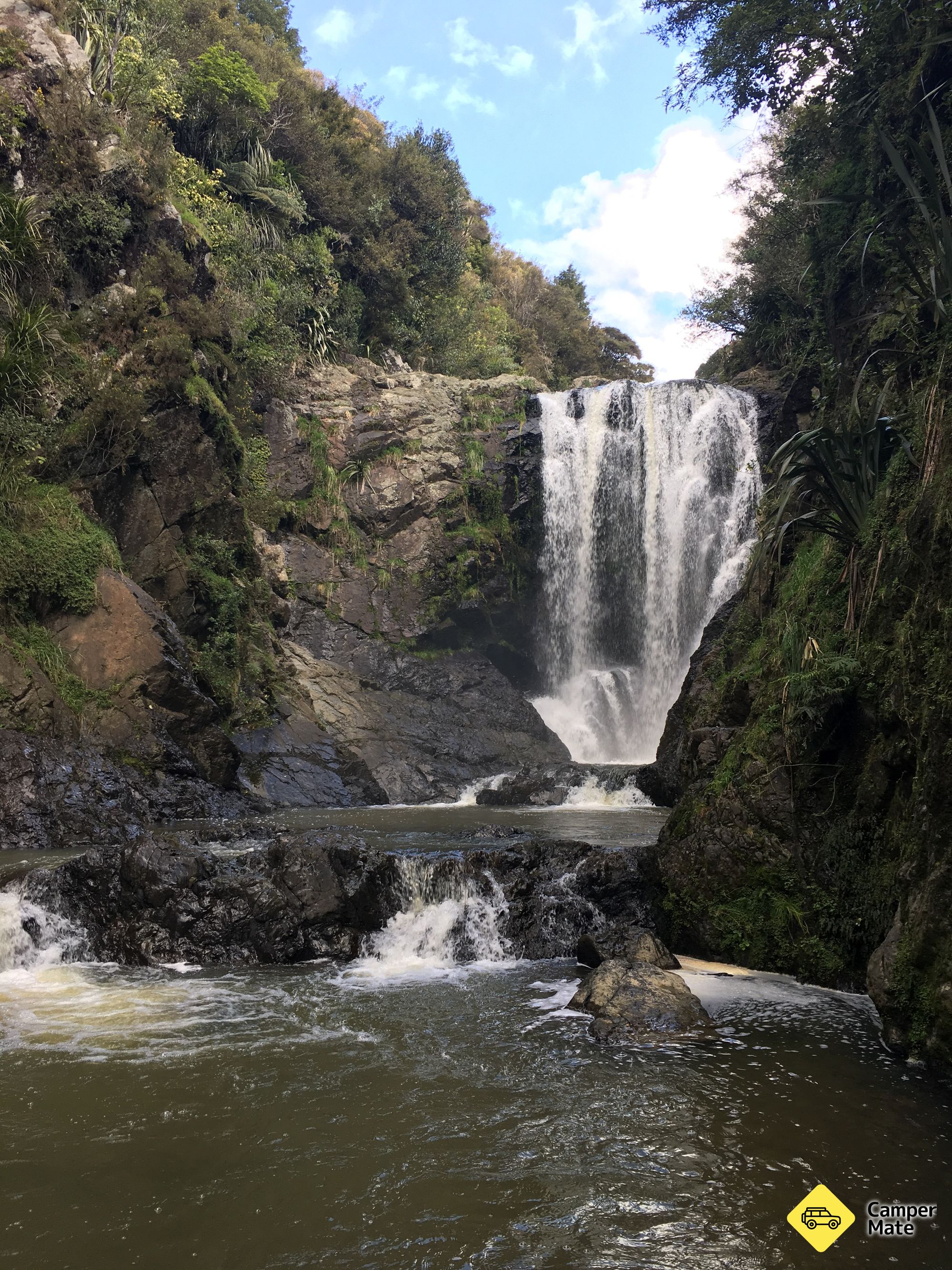 Waipu Gorge Reserve