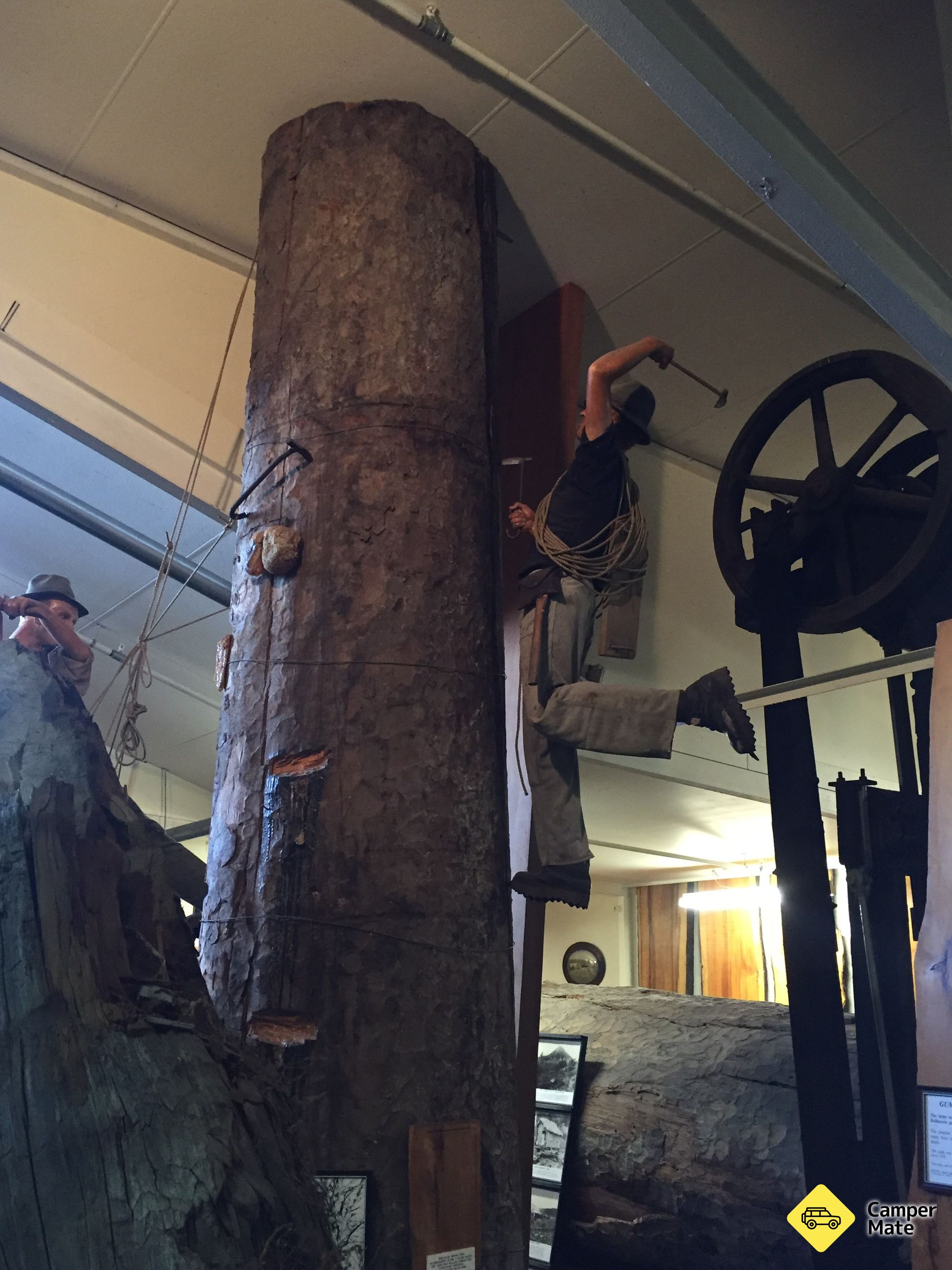 The Kauri Museum - Image 3