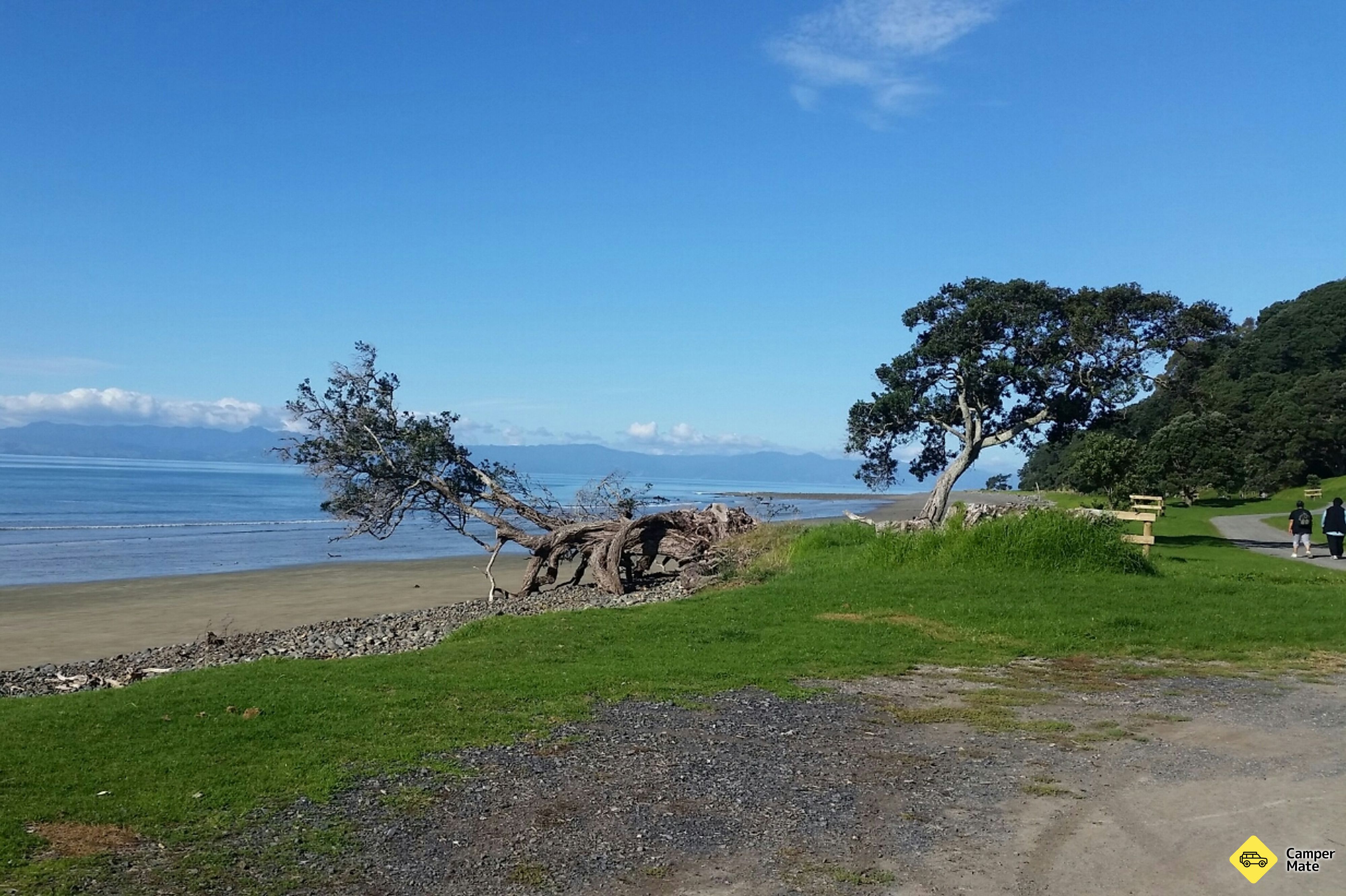 Tapapakanga CSC Overnight Parking Area - Image 3
