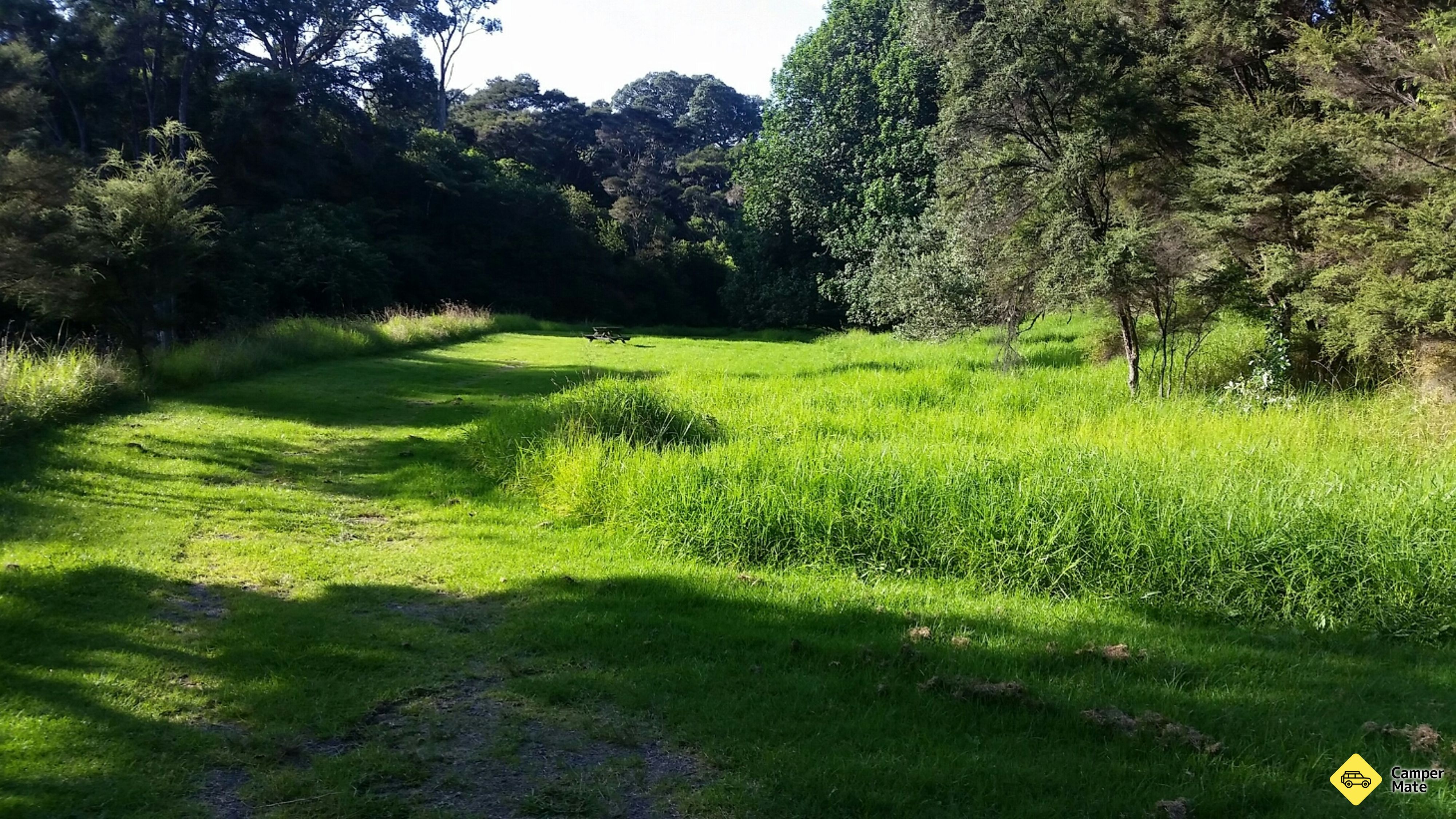 Tapapakanga Stream CSC Parking Area