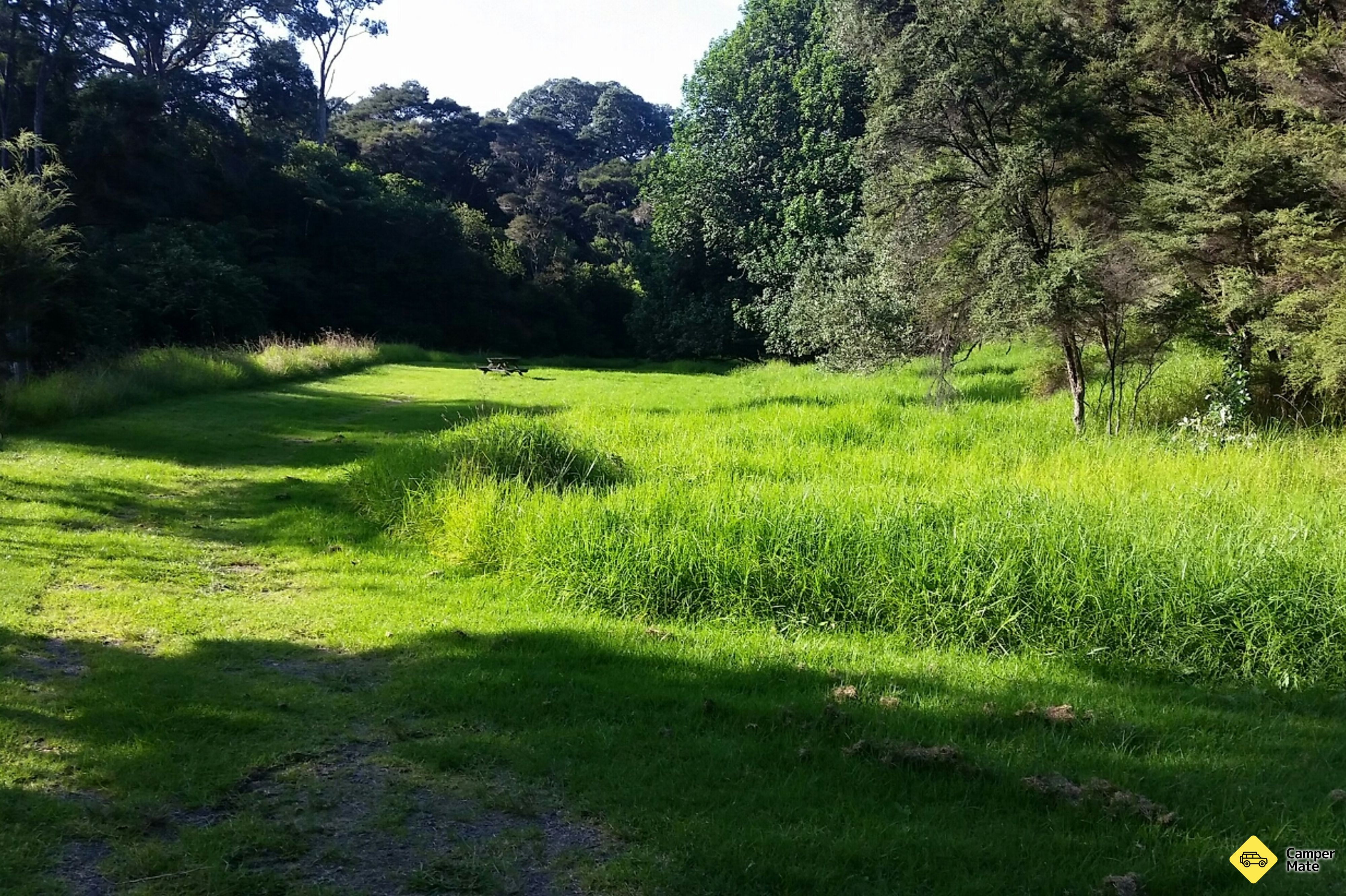 Tapapakanga Stream CSC Parking Area