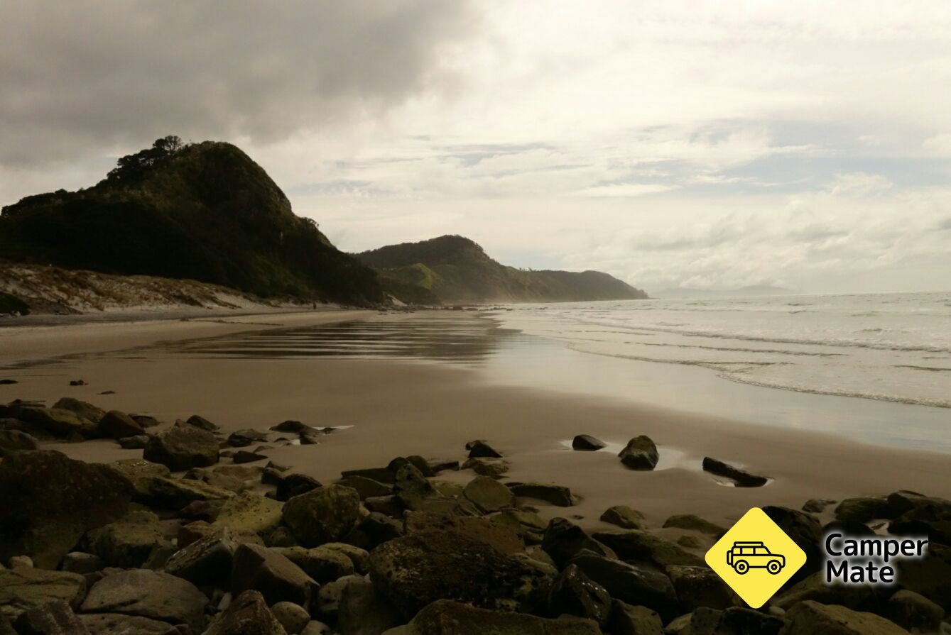 Mangawhai Heads Coastal Walks - Image 2