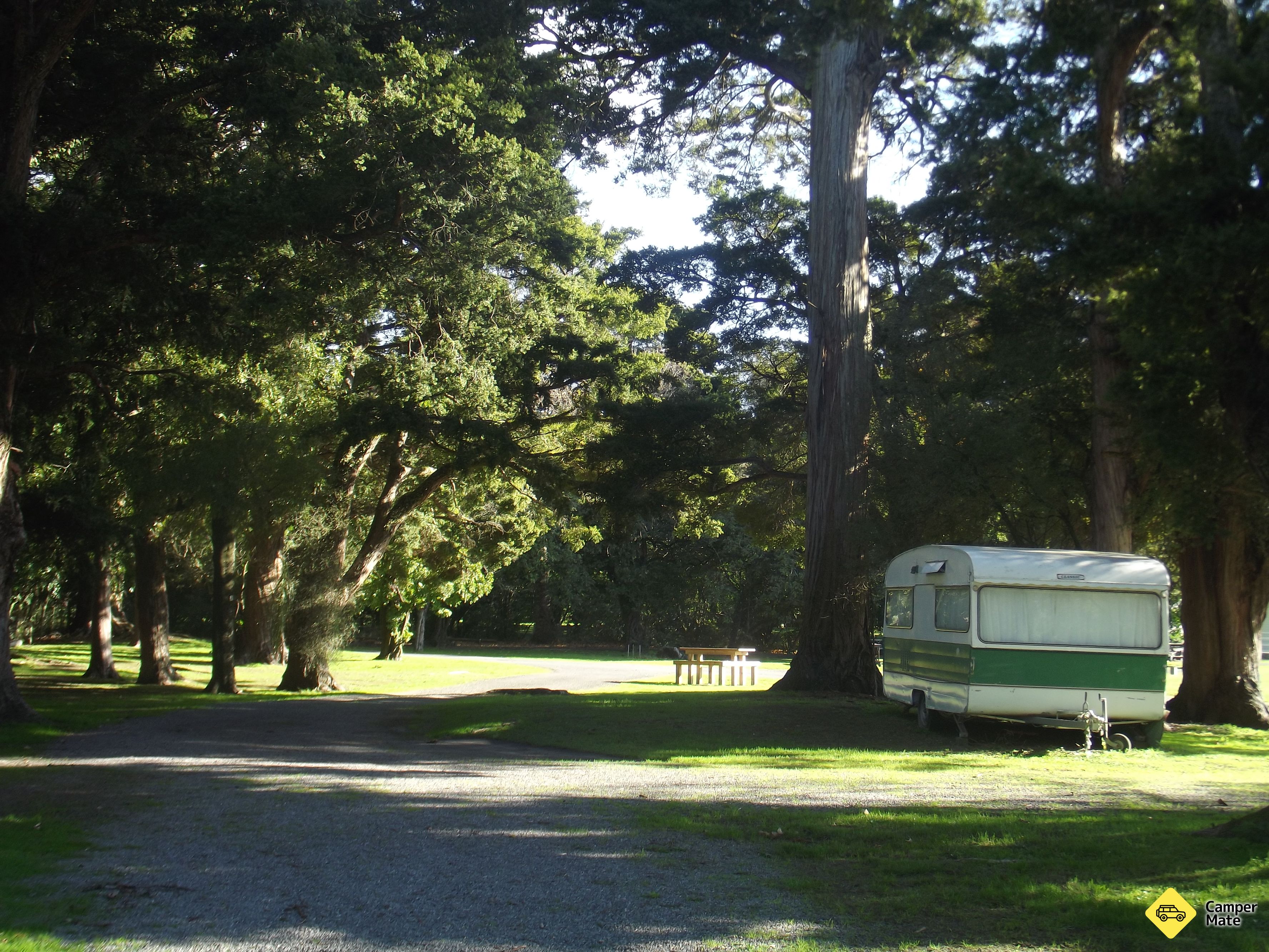 Greytown Campground - Image 2