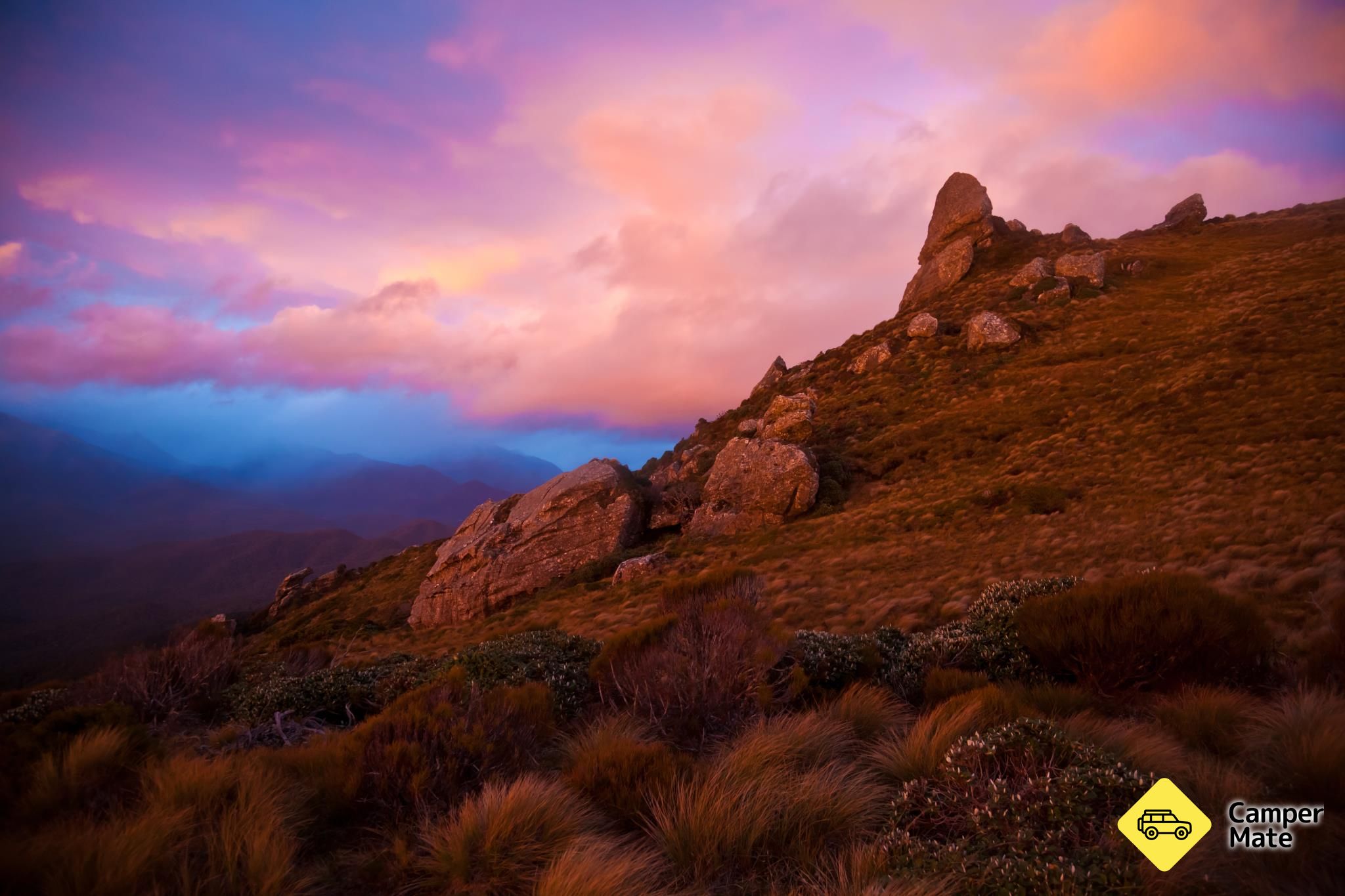 Hump Ridge Track - Image 2