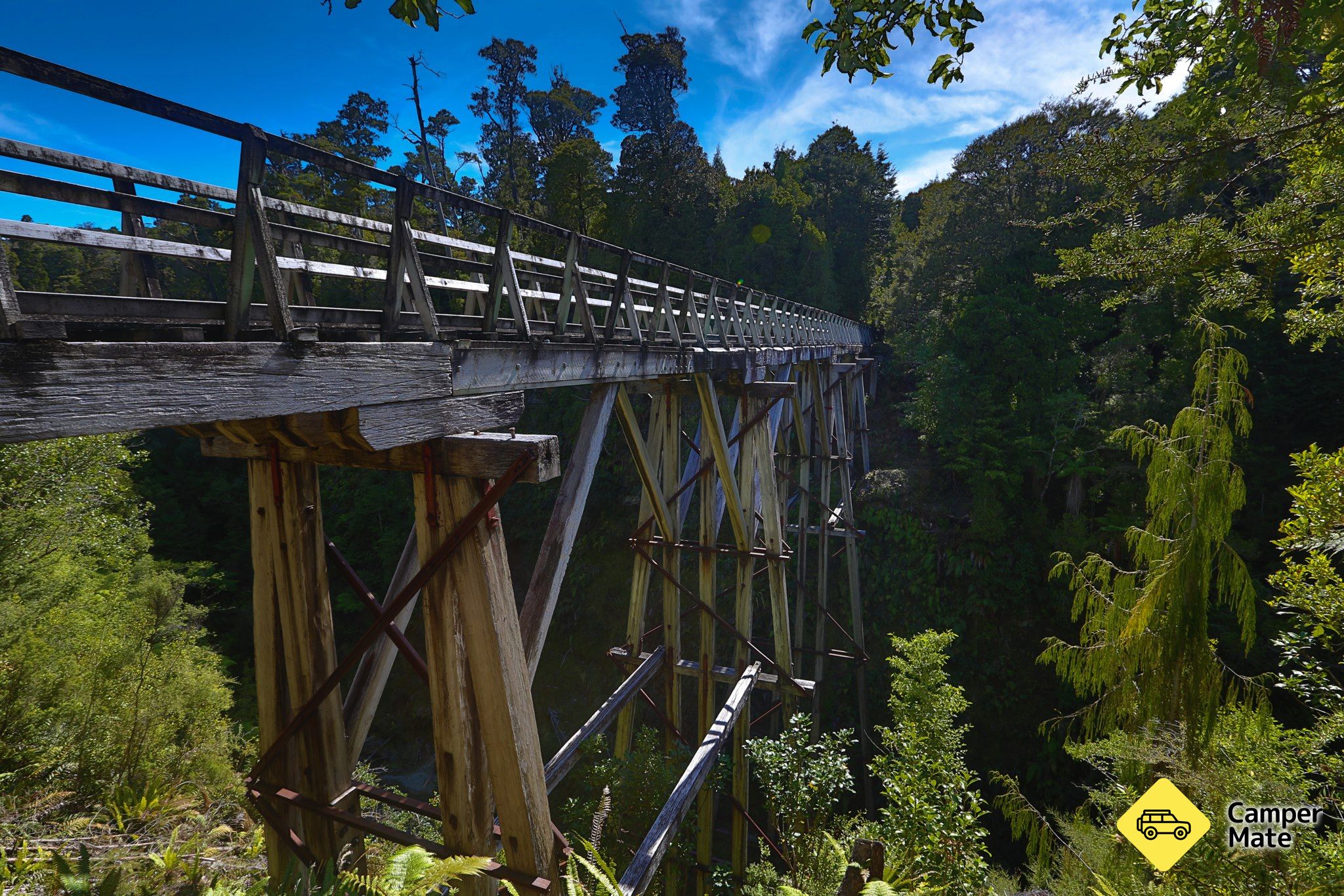 Hump Ridge Track - Image 3