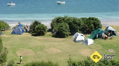 Motuora (Island) Campsite