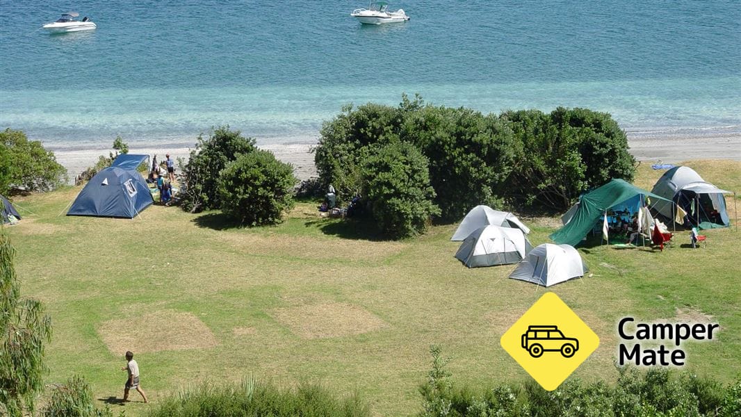 Motuora (Island) Campsite