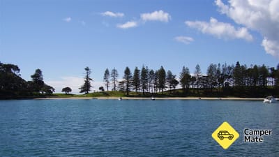 Motuihe (Island) Campsite