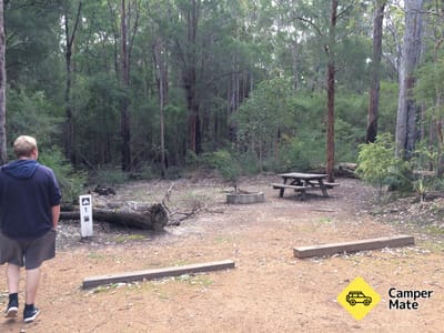 Grass Tree Hollow Campground