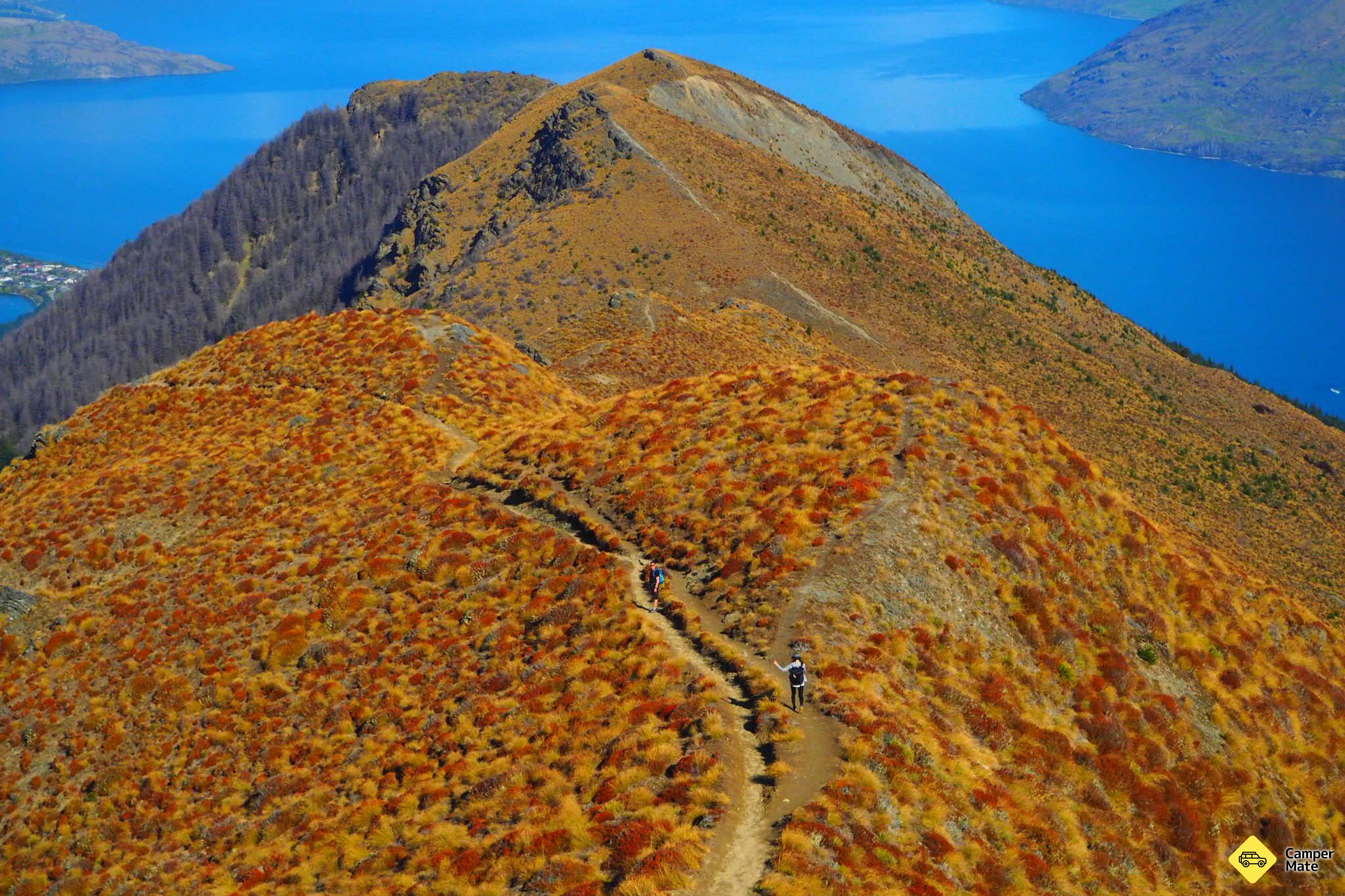 Track de Ben Lomond - Image 3