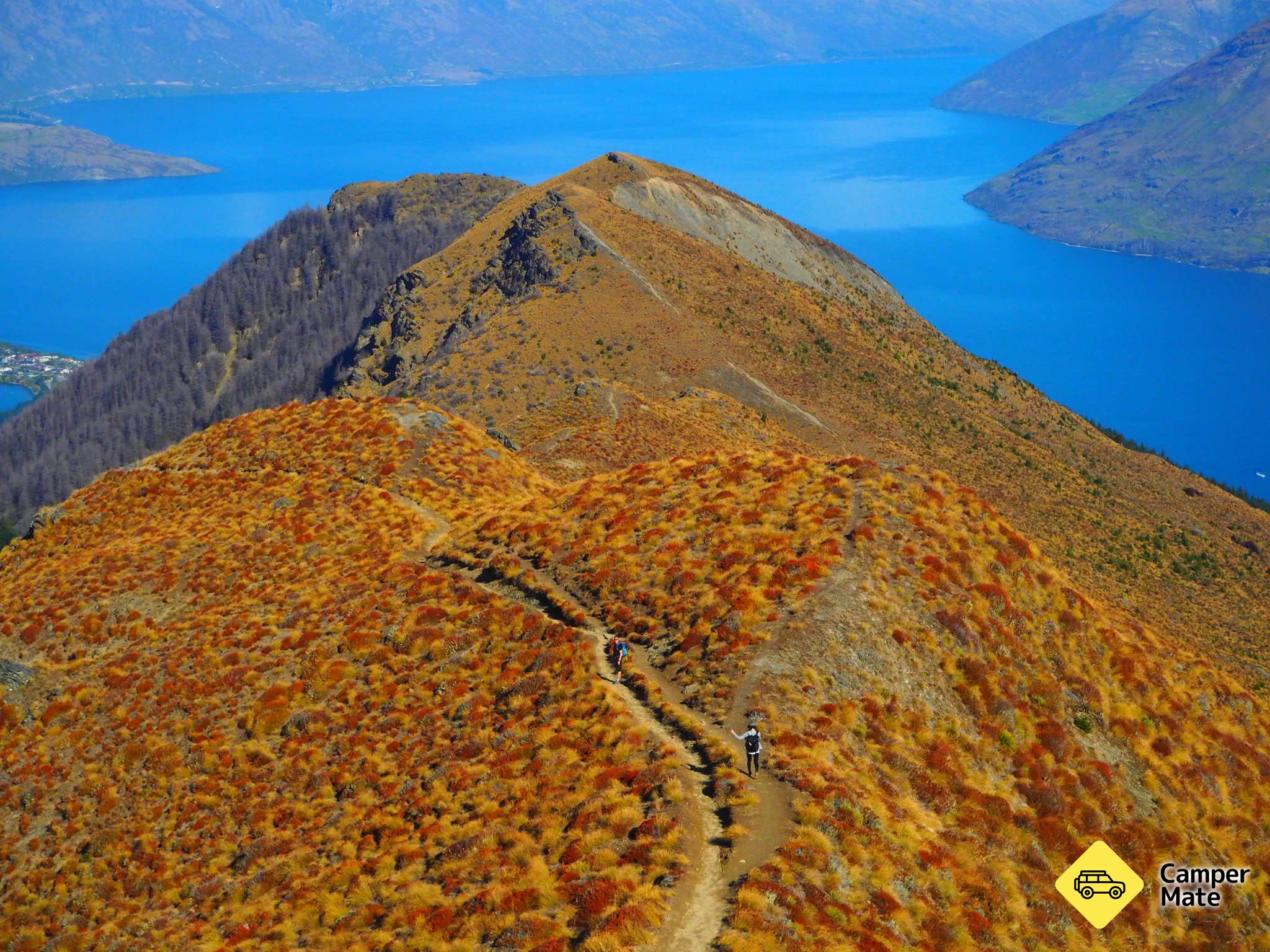 Track de Ben Lomond - Image 3