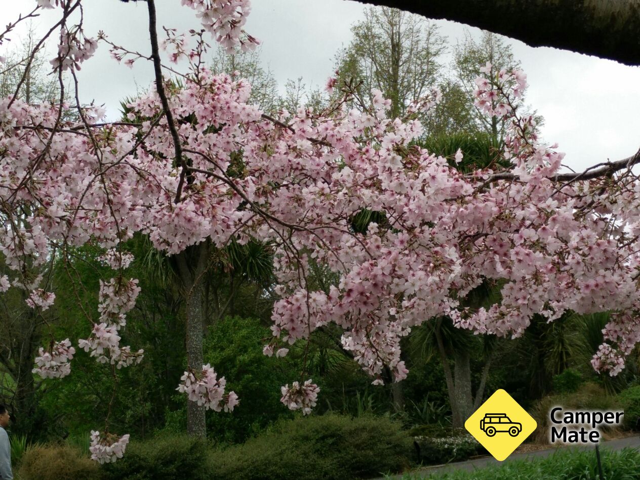 Auckland Botanic Gardens - Image 2
