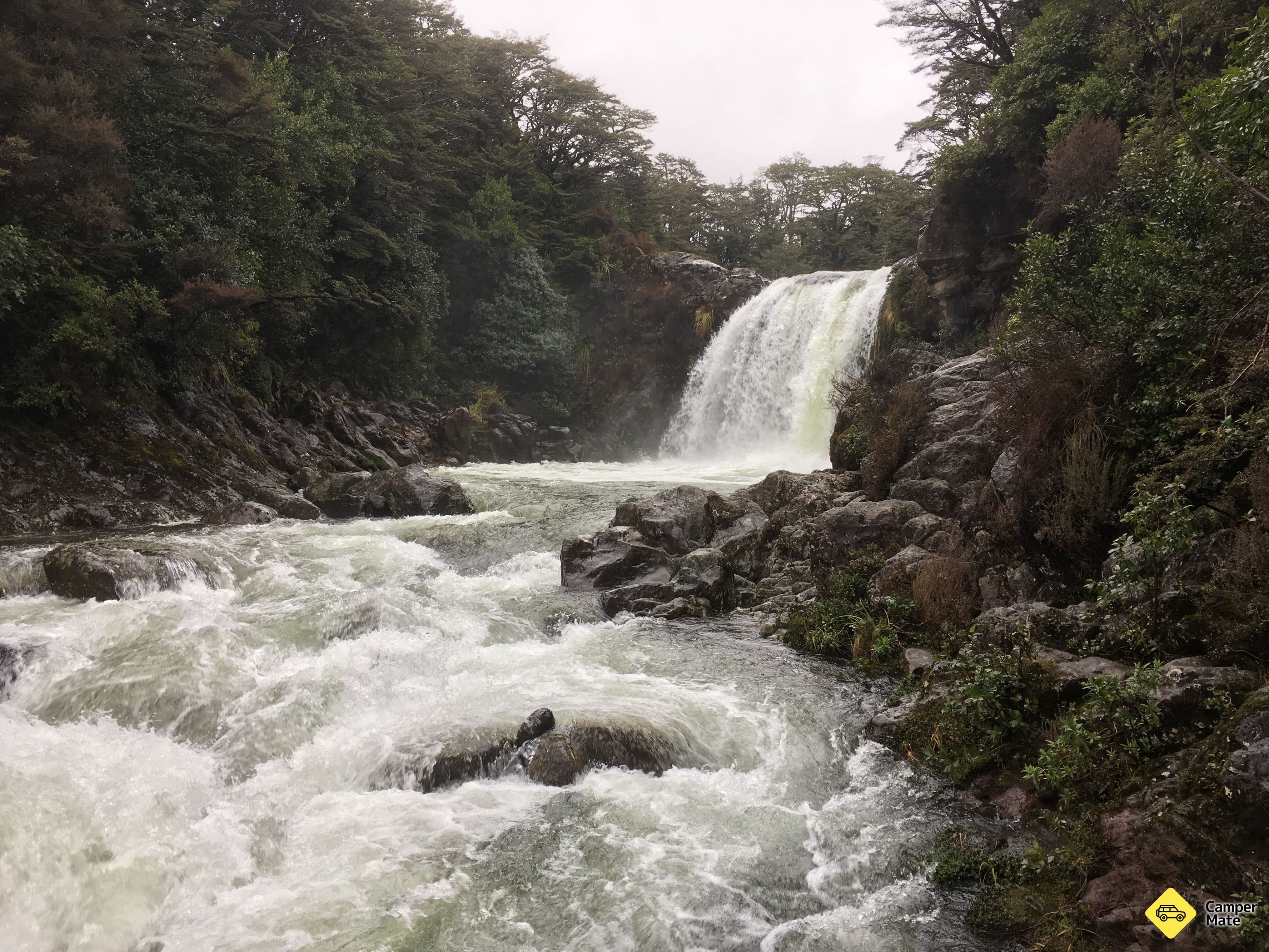 Tawhai Falls Walk - Image 3