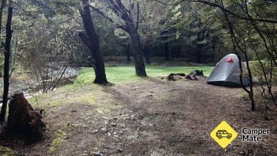 Mistletoe Flats Campsite