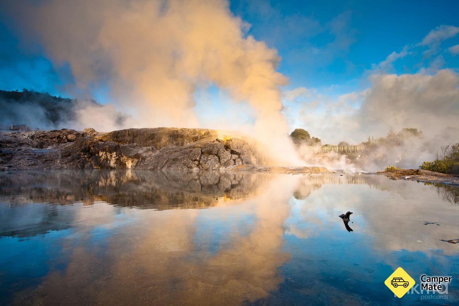 Te Puia Pōhutu Geyser