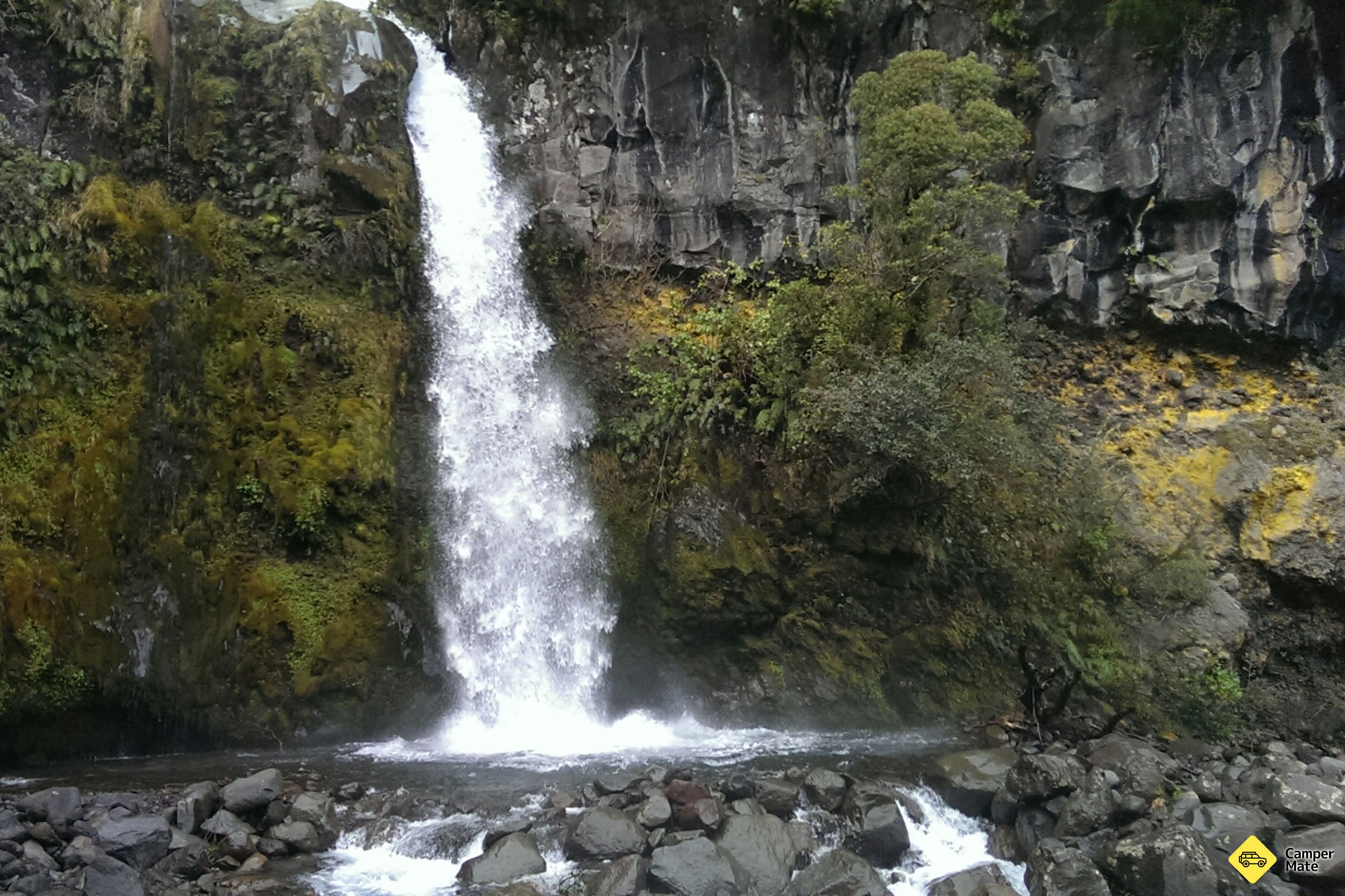 Dawson Waterfalls