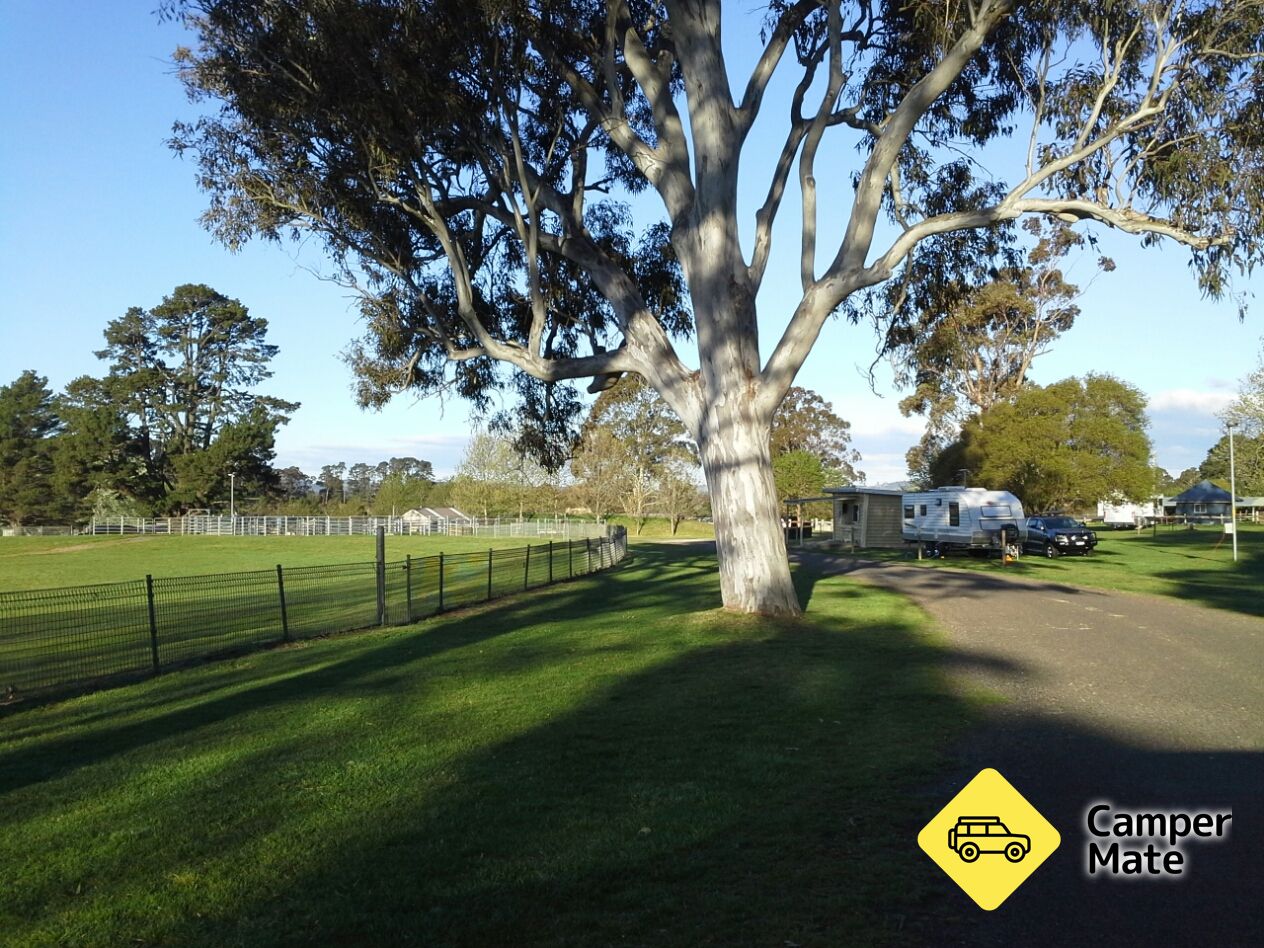 Moss Vale Showgrounds - Image 2