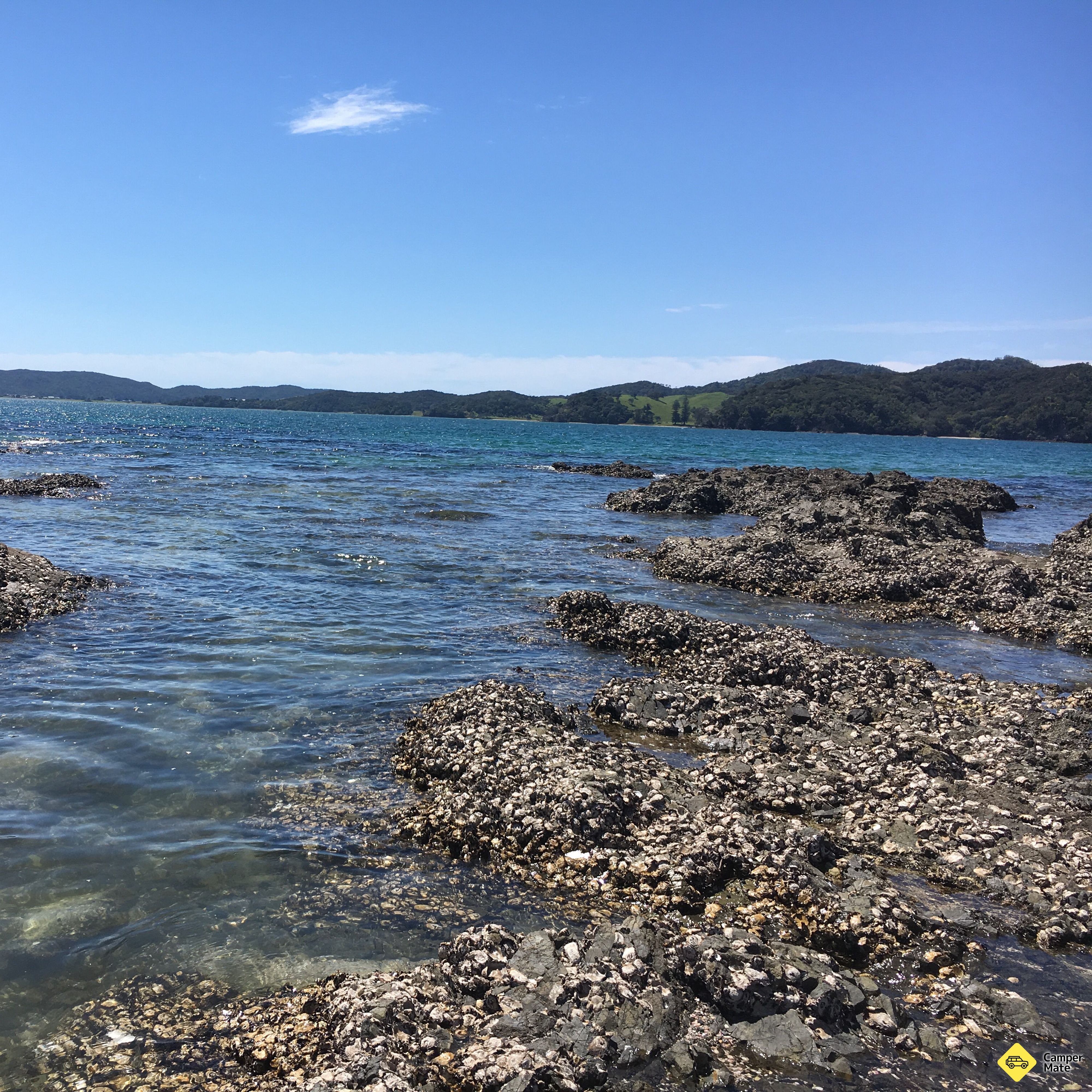 Whangaruru Beach Walk - Image 2