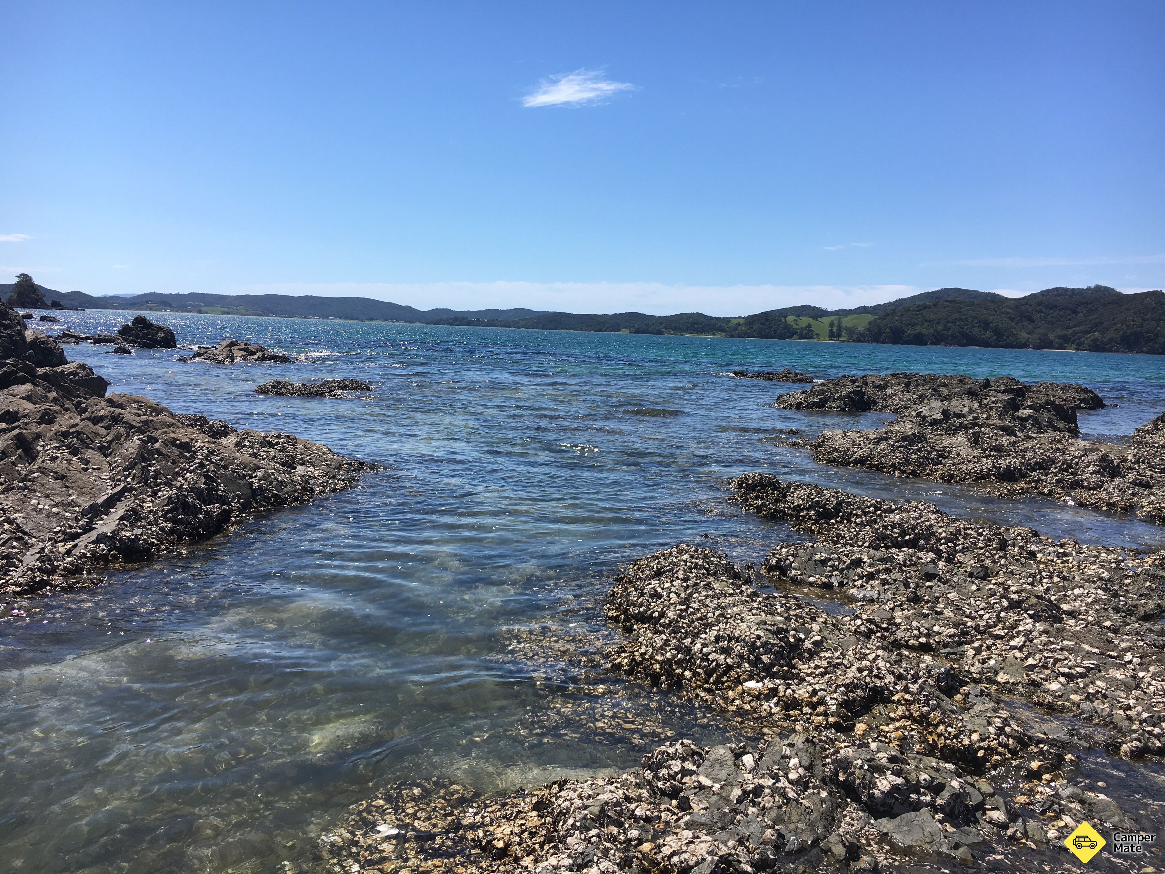 Whangaruru Beach Walk - Image 2