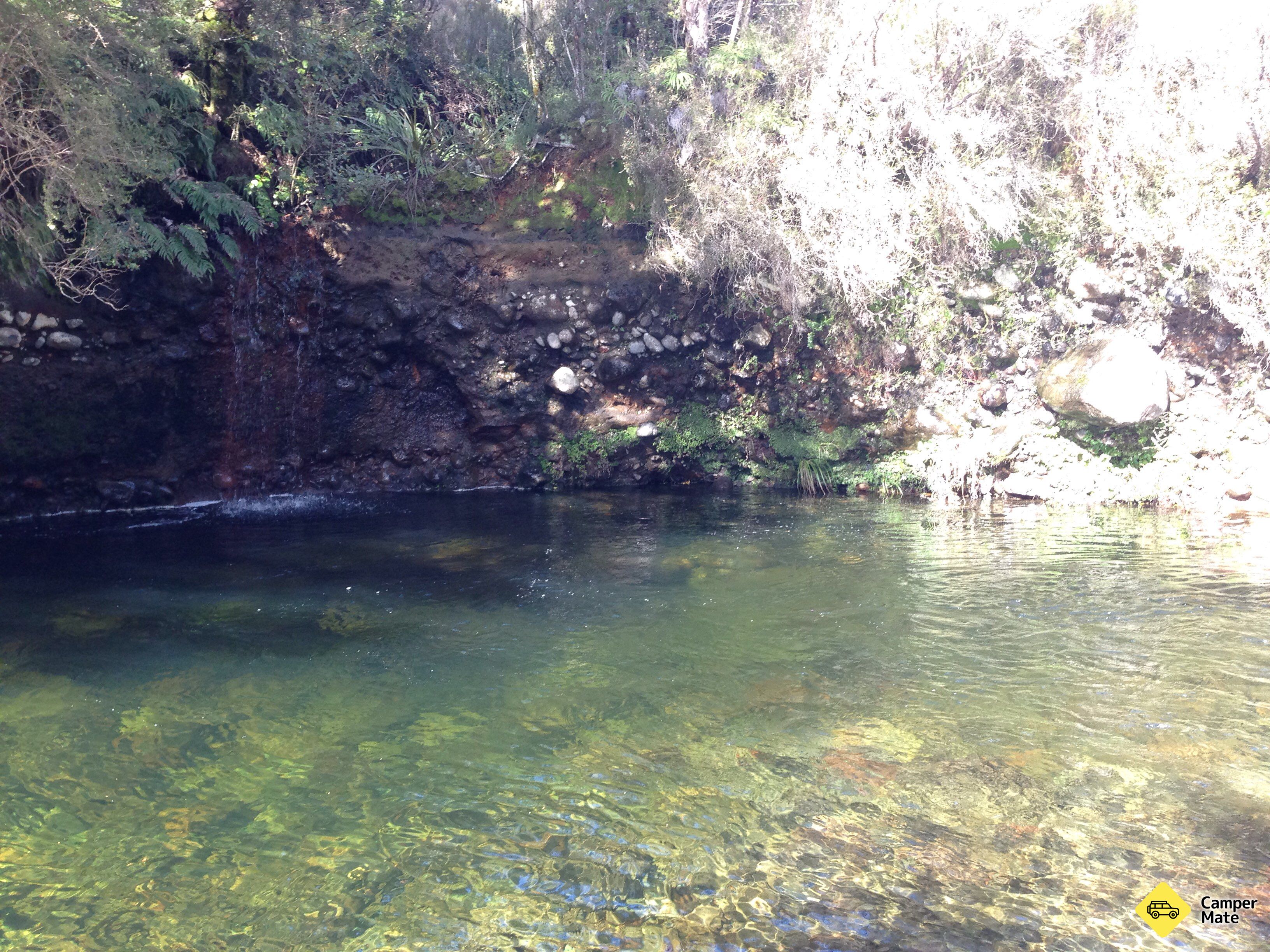 Mangahuia Campsite - Image 2