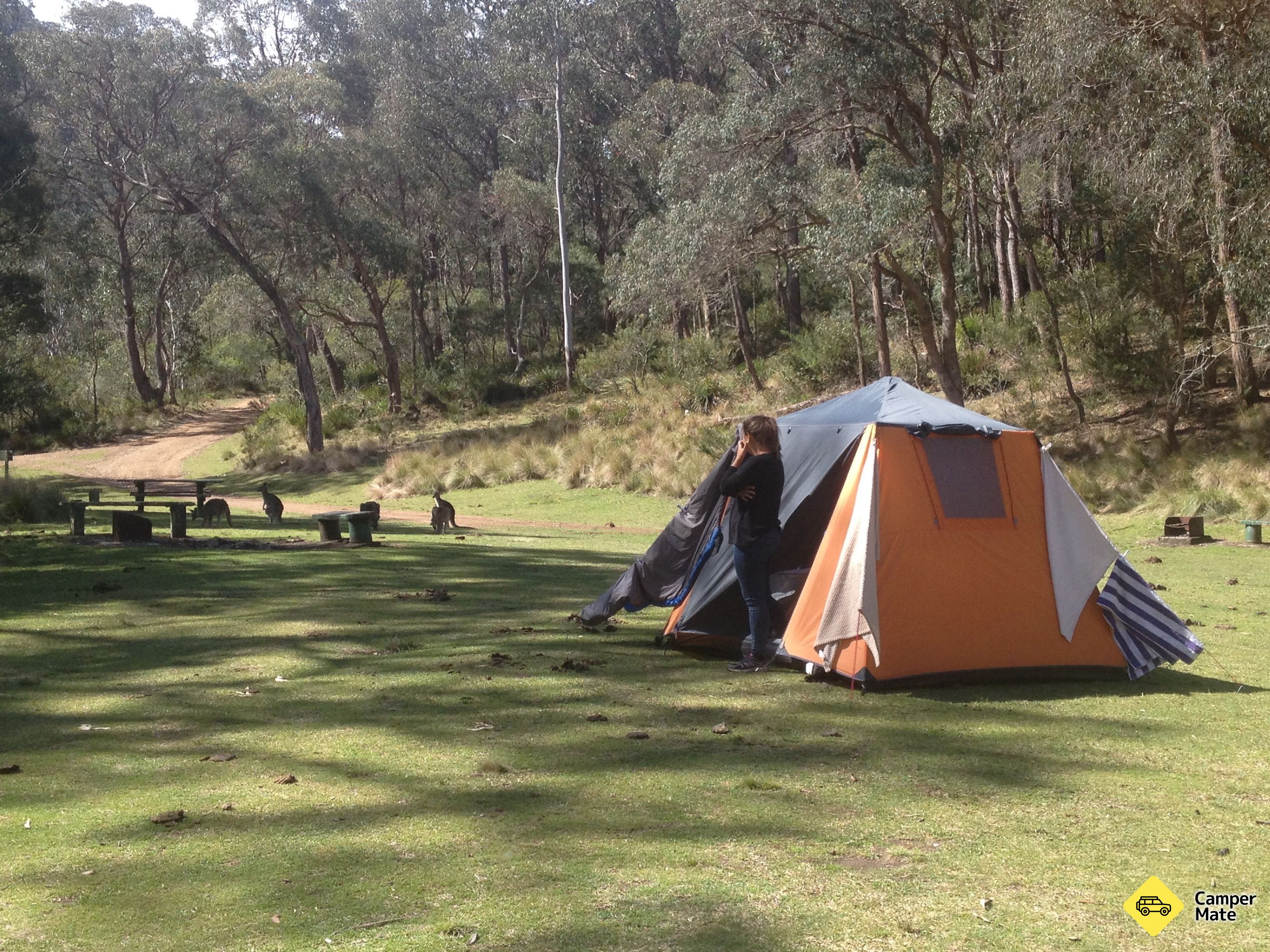 Wattle Flat Camping Area - Forêt de l'État de Styx River