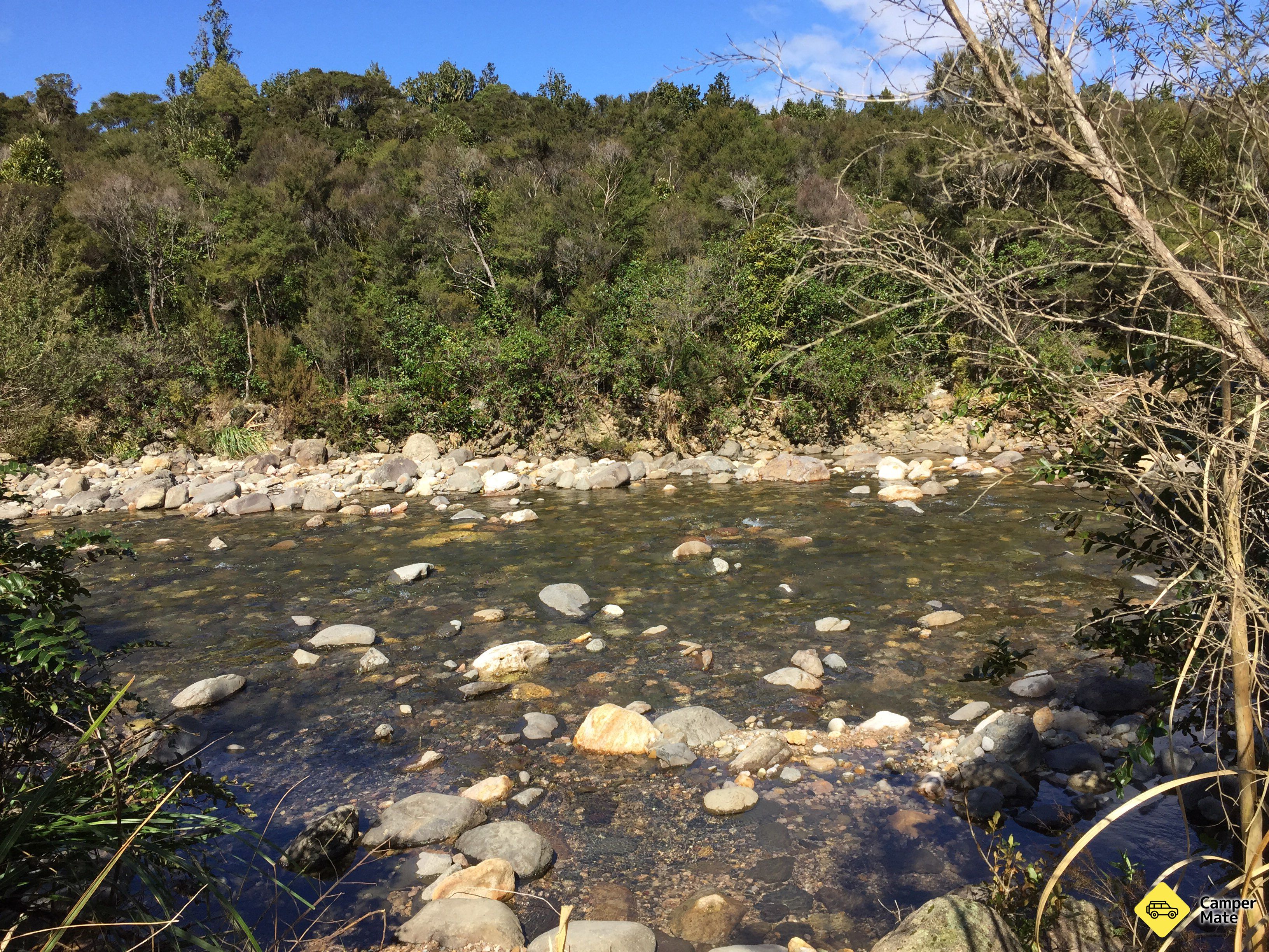 Totara Flat Campsite - Image 2
