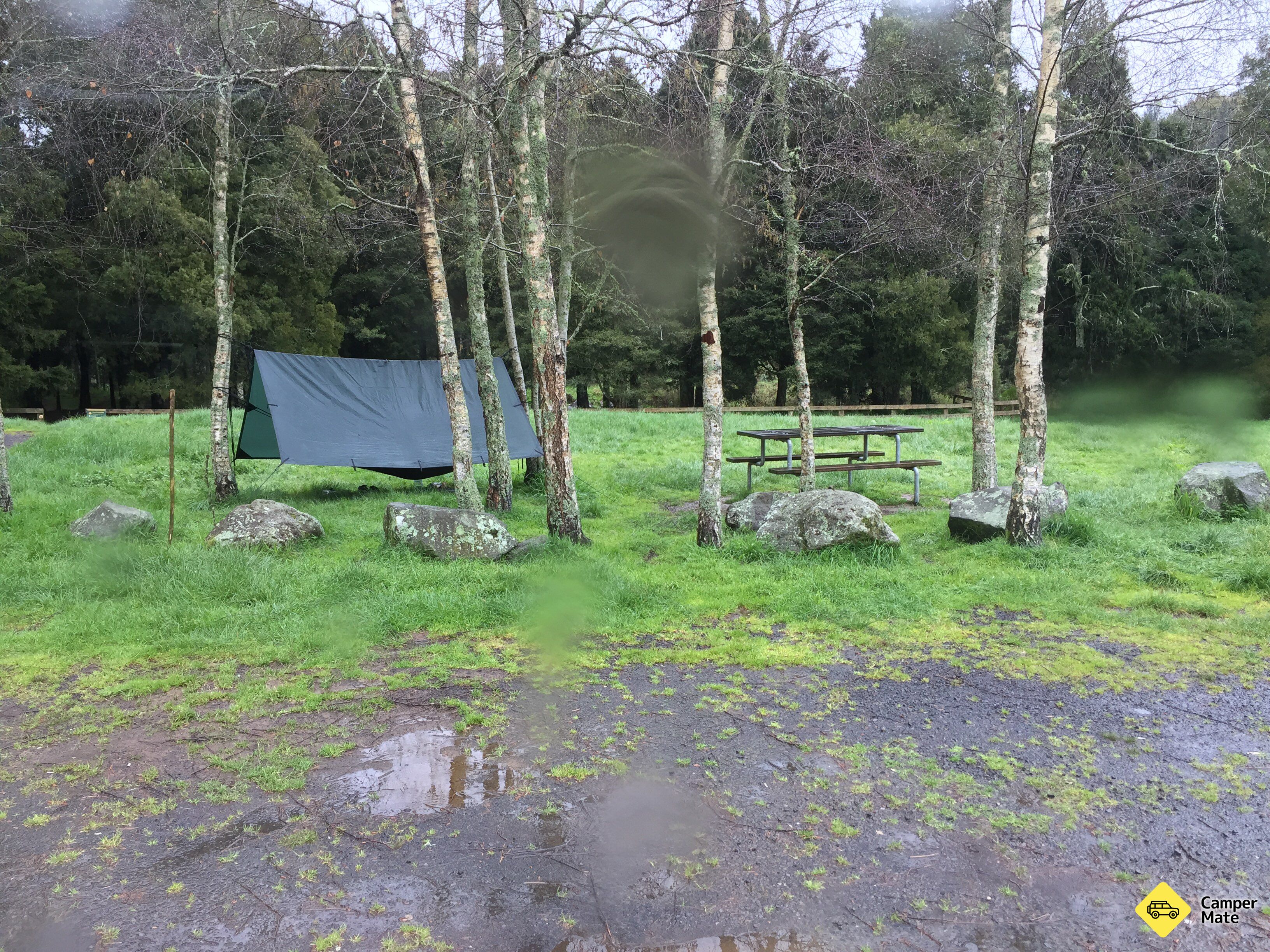Dickey Flat Campsite - Image 2