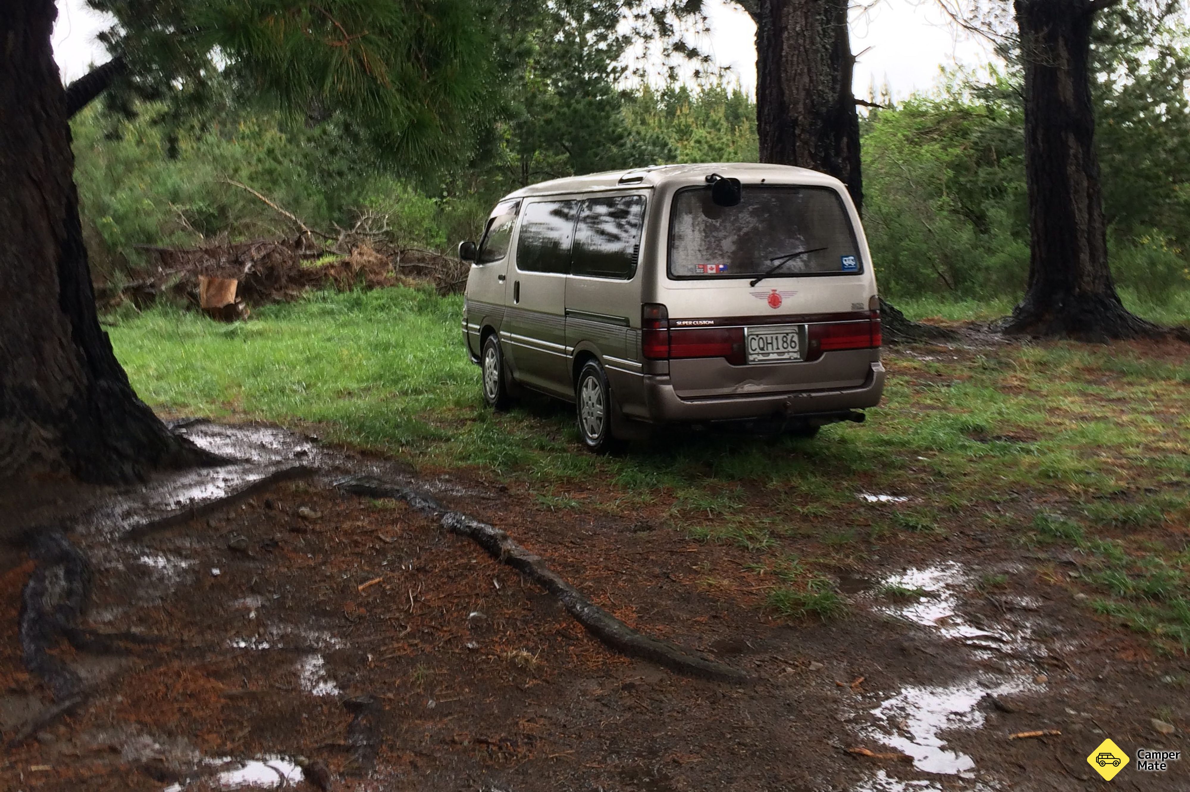 Bowyers Stream - Image 3